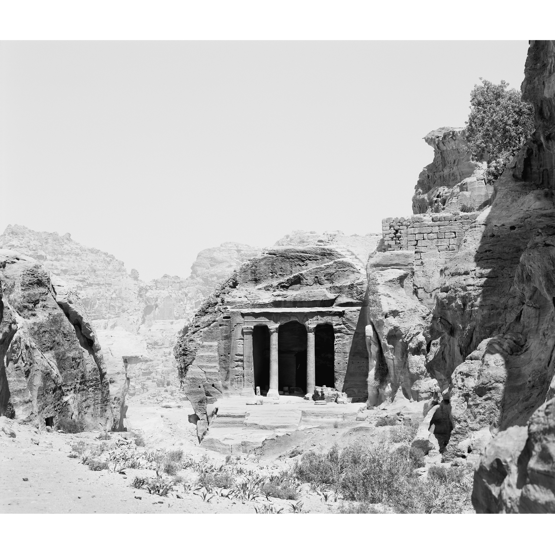 collezionemorello.it