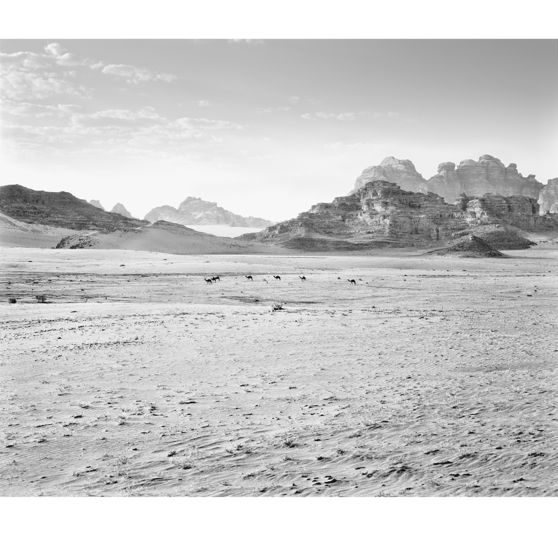 collezionemorello.it