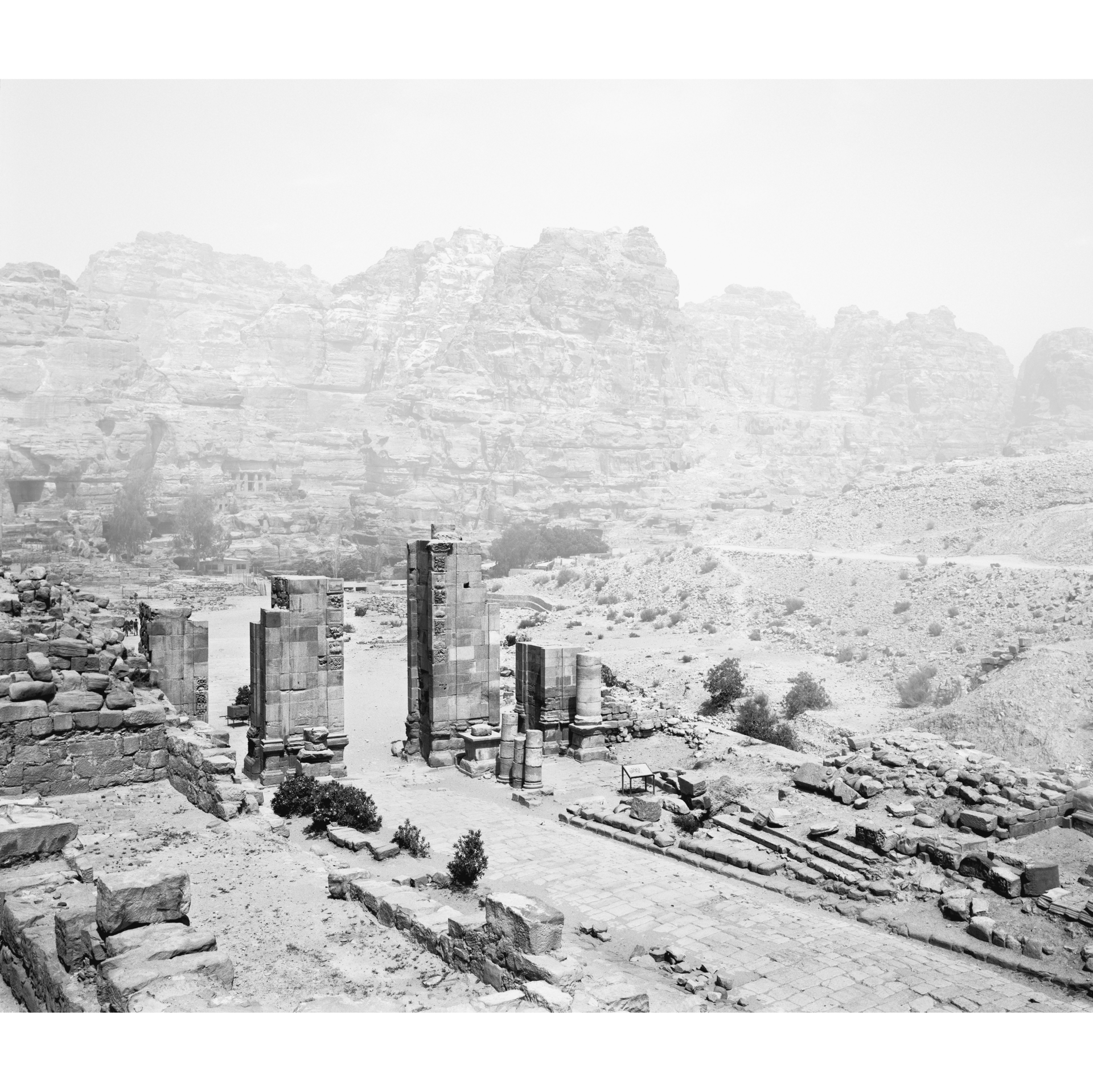 collezionemorello.it