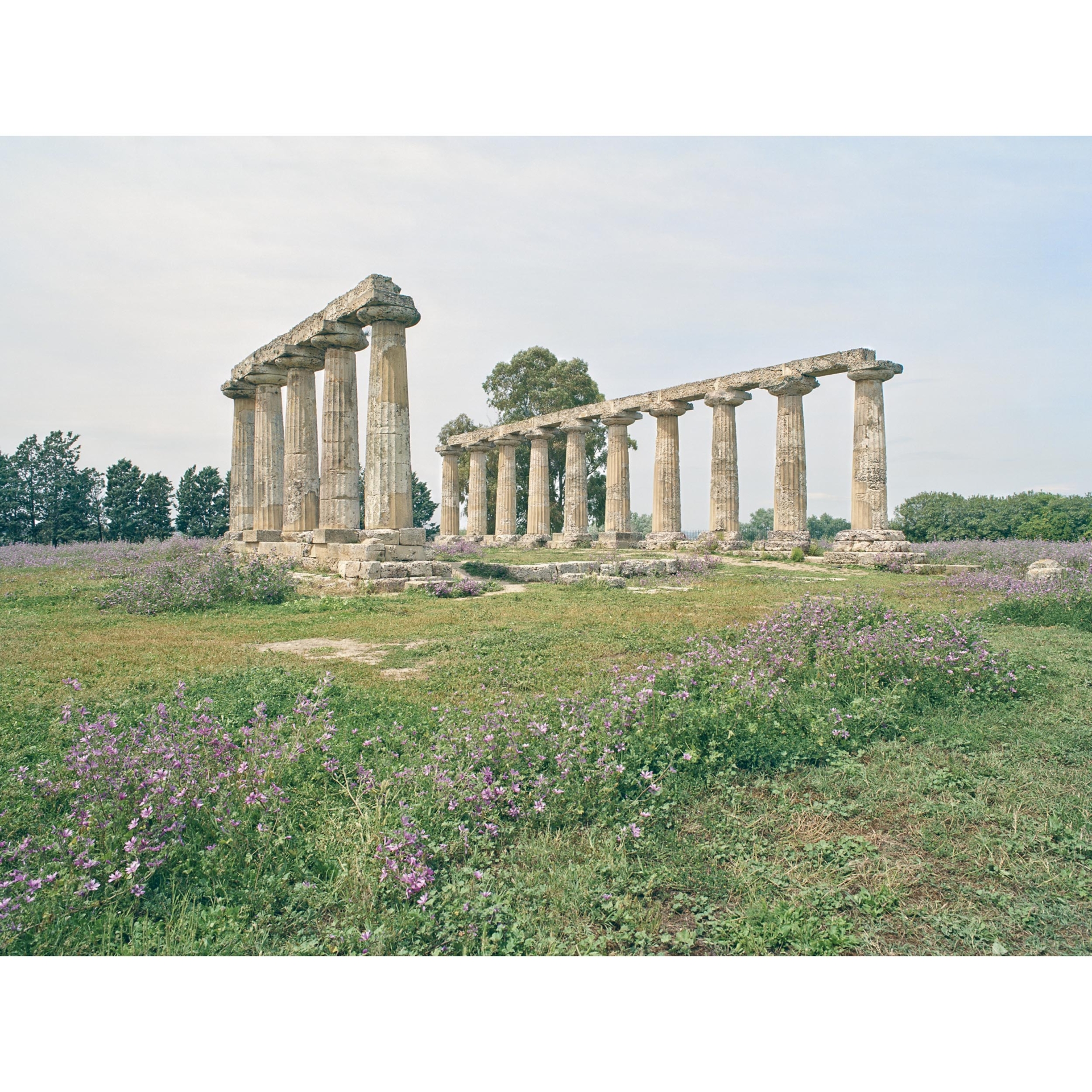 collezionemorello.it