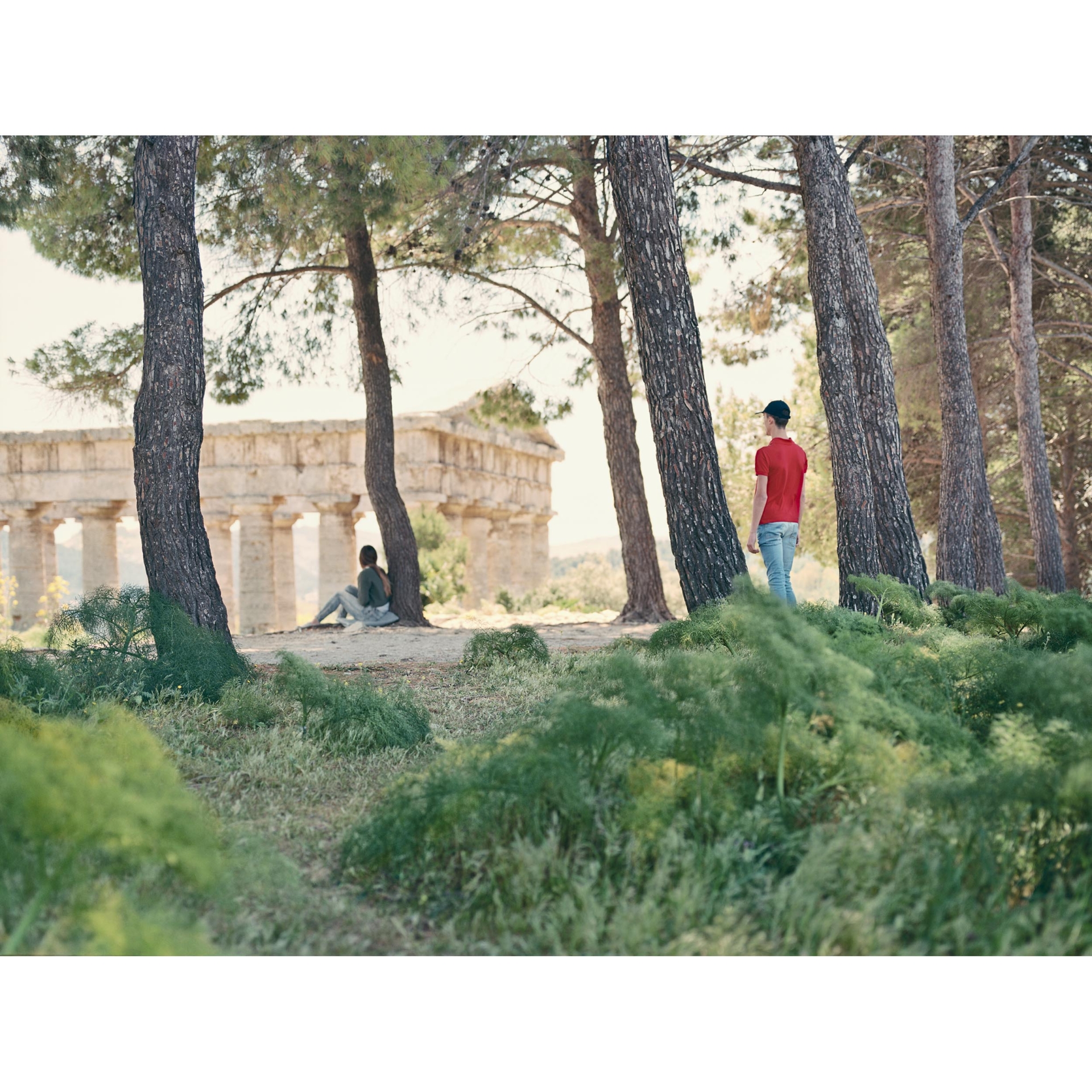 collezionemorello.it