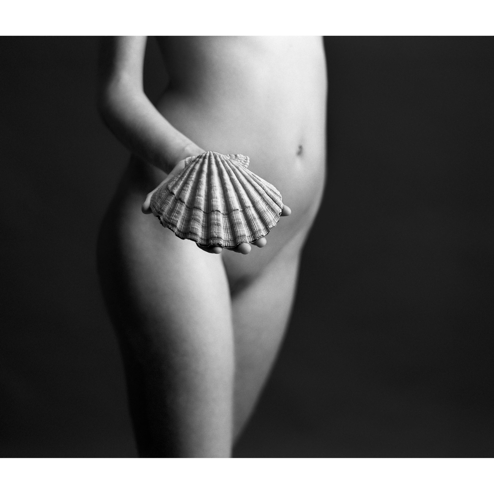 collezionemorello.it