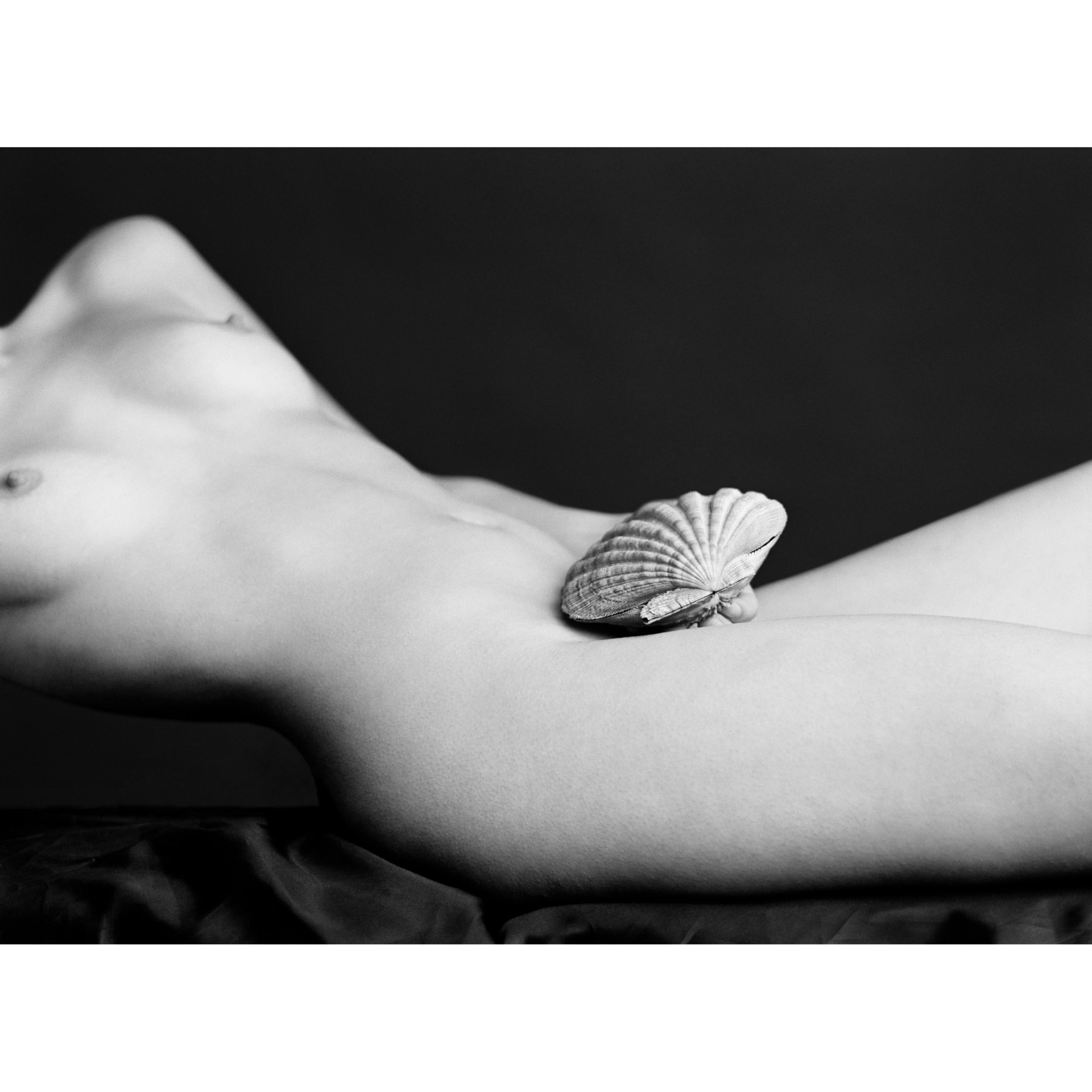 collezionemorello.it