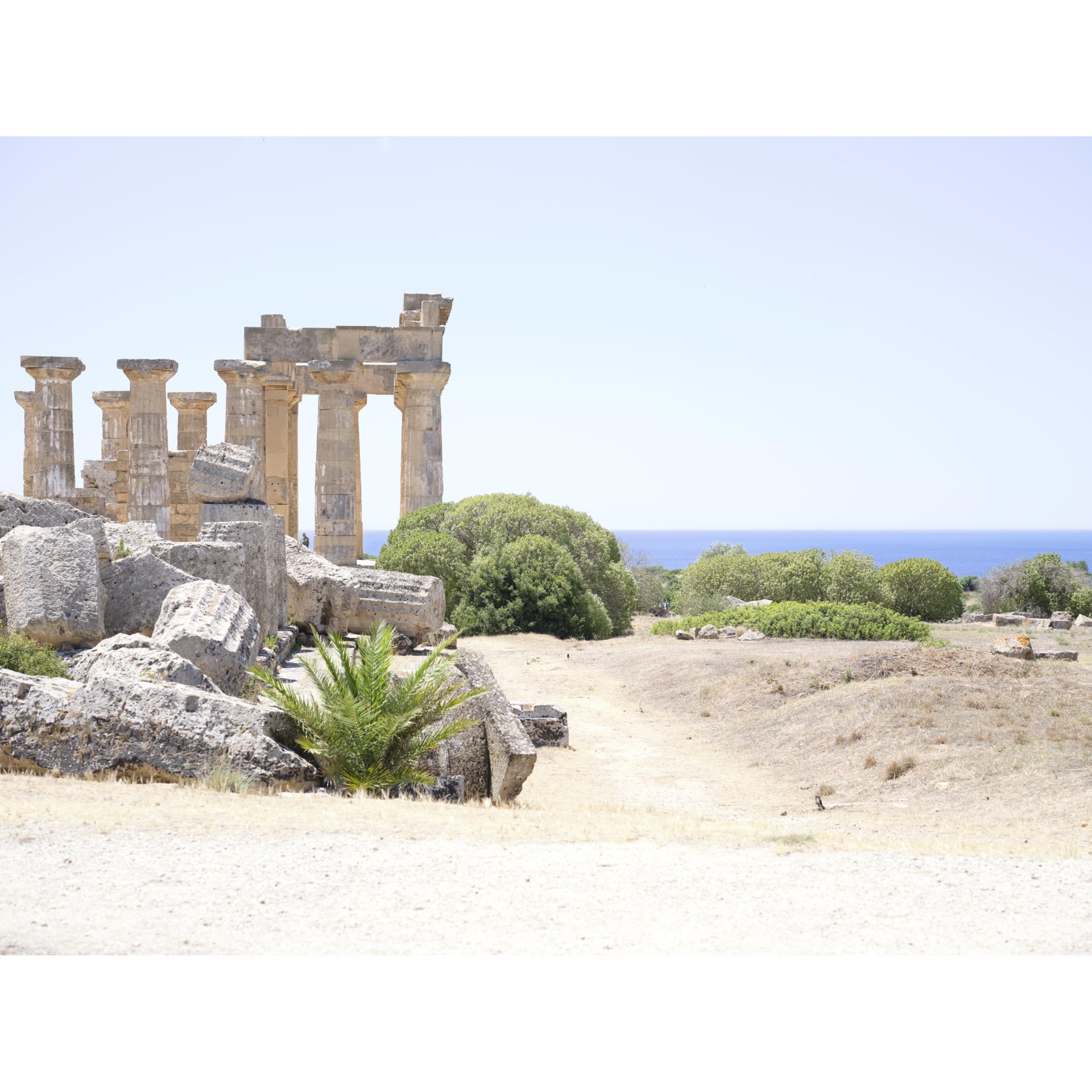 collezionemorello.it