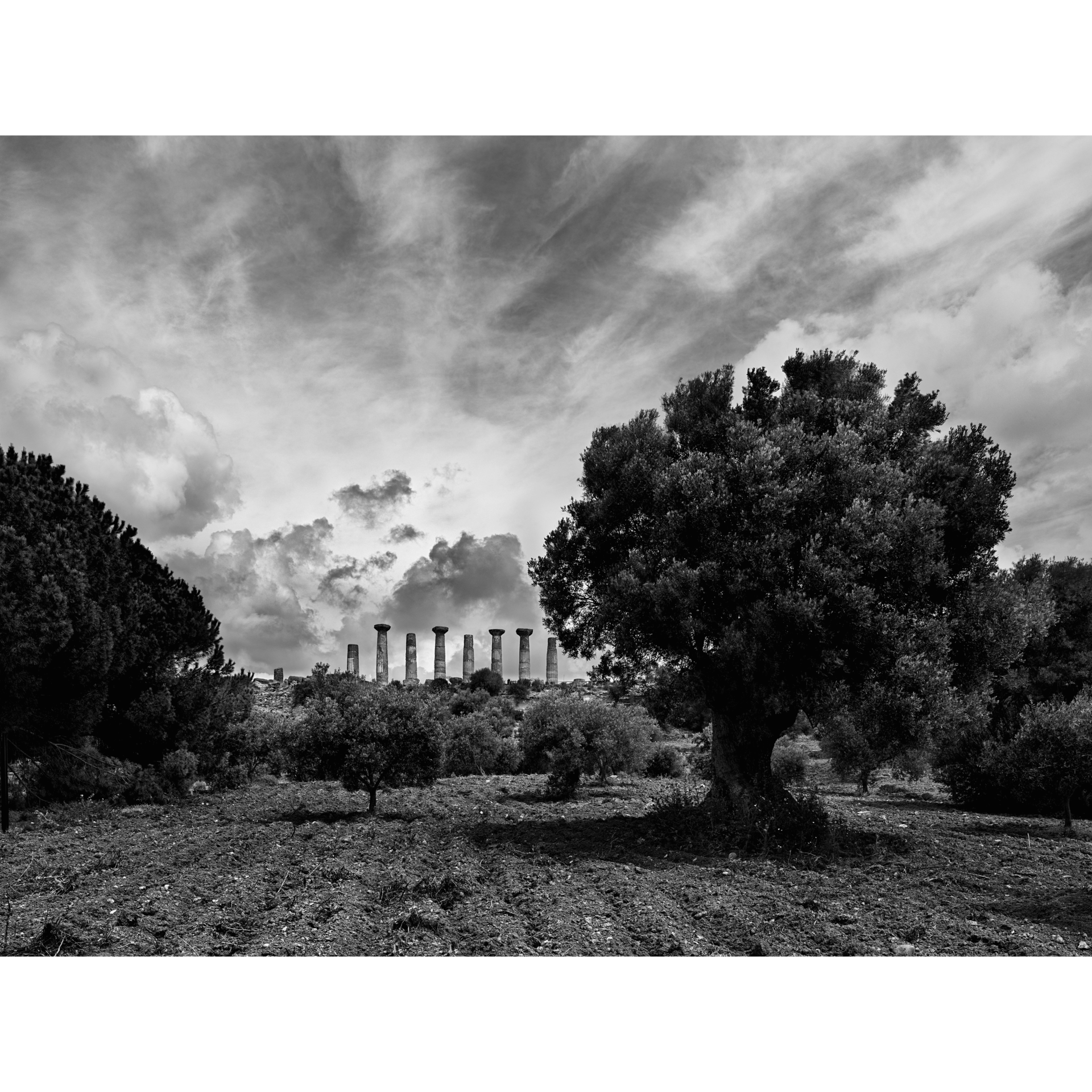 collezionemorello.it