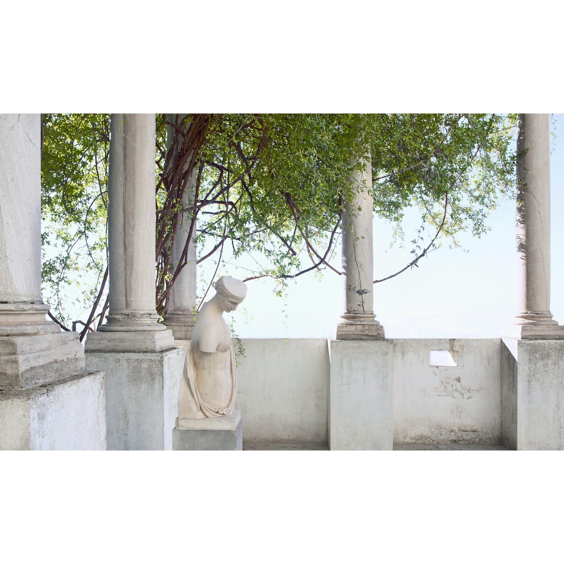 collezionemorello.it