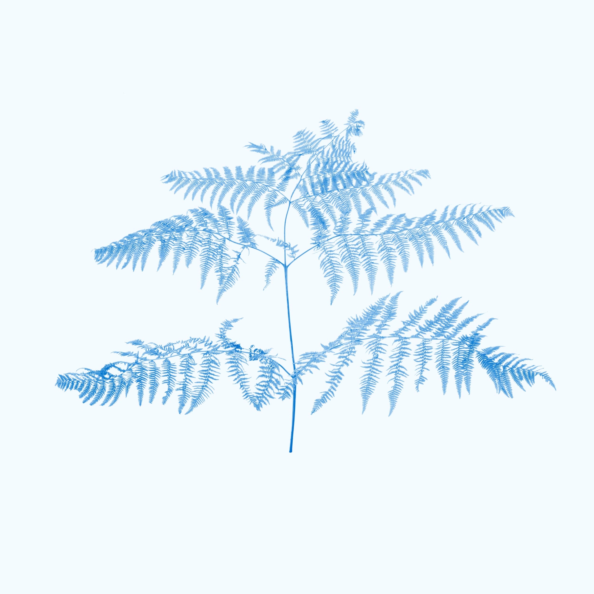 collezionemorello.it