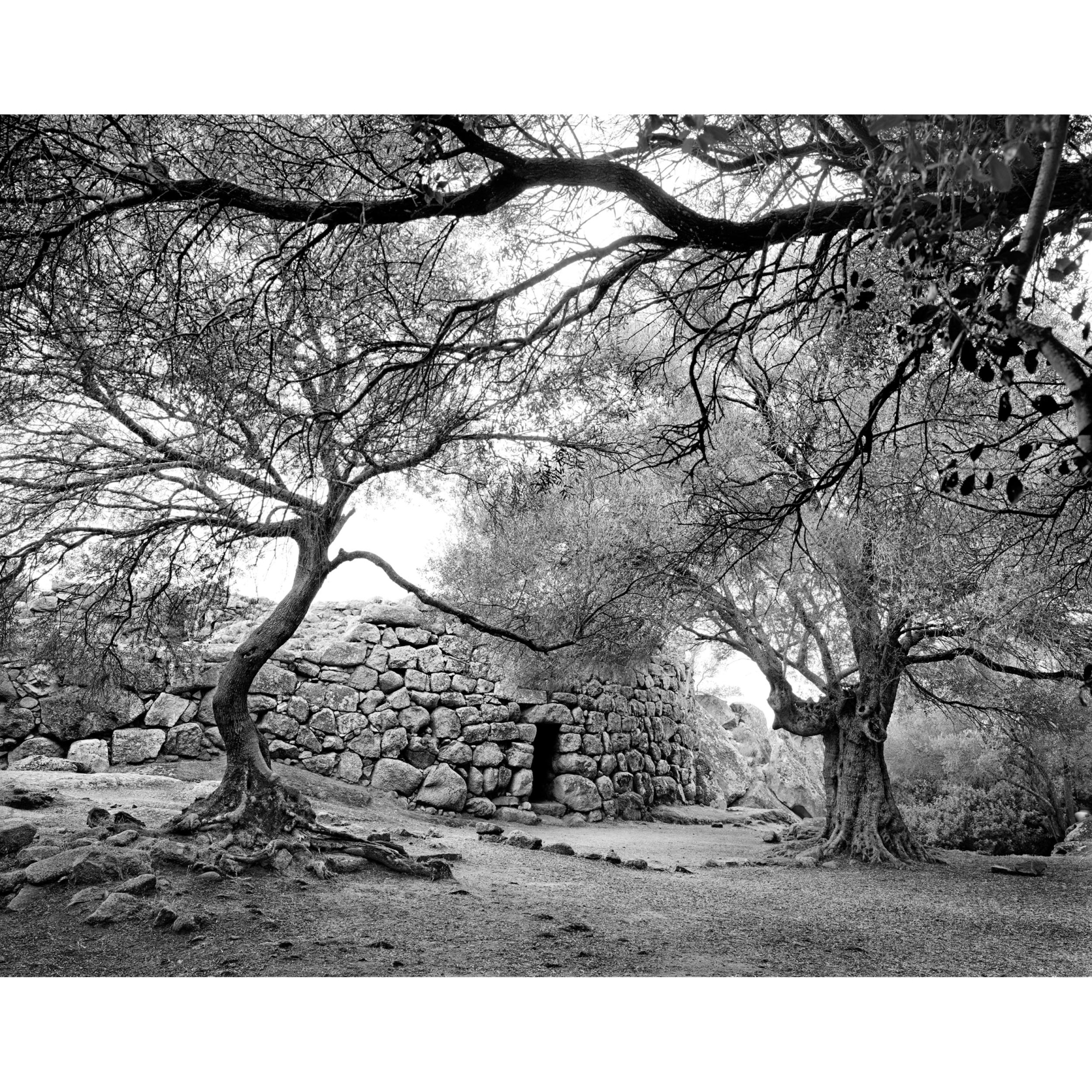 collezionemorello.it