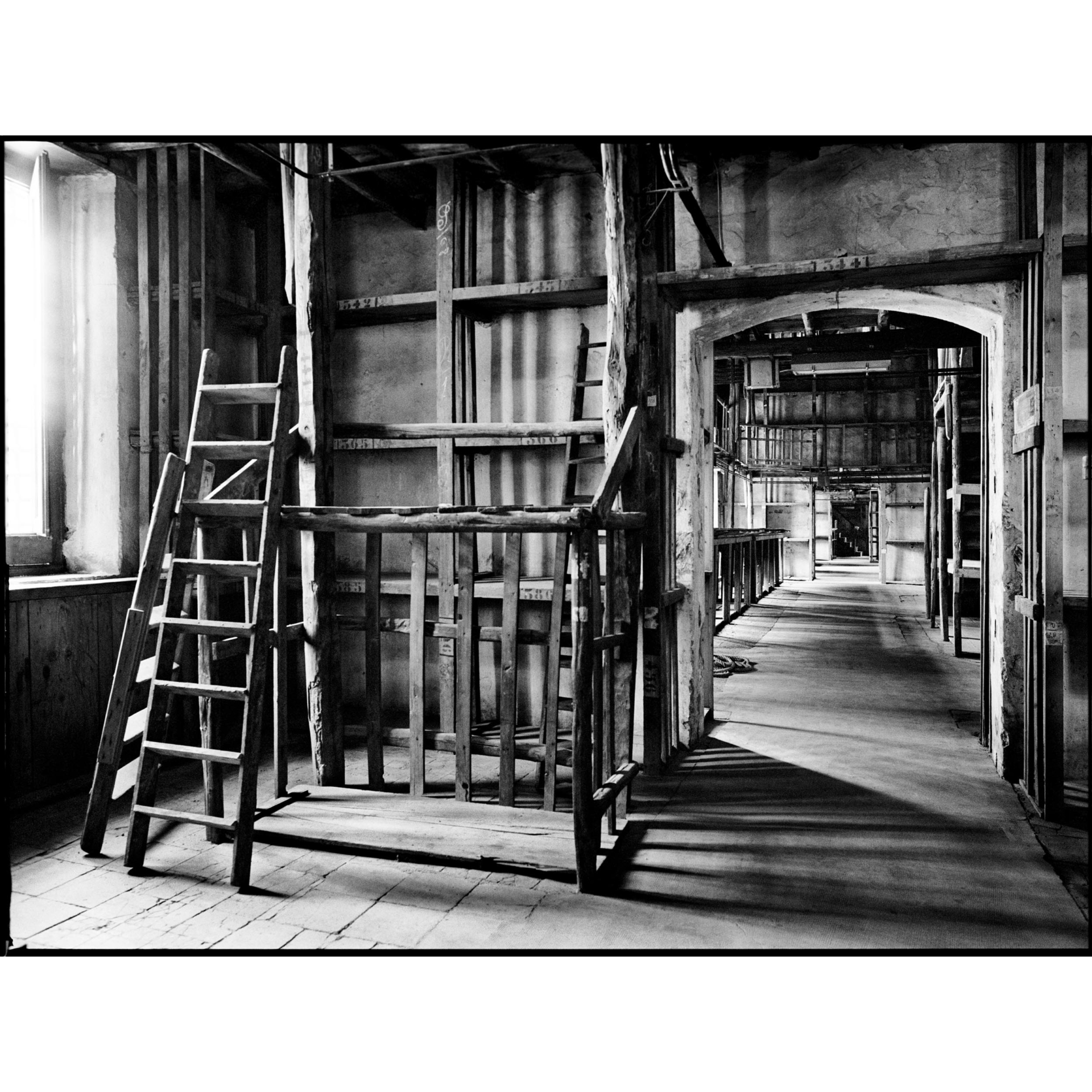 collezionemorello.it