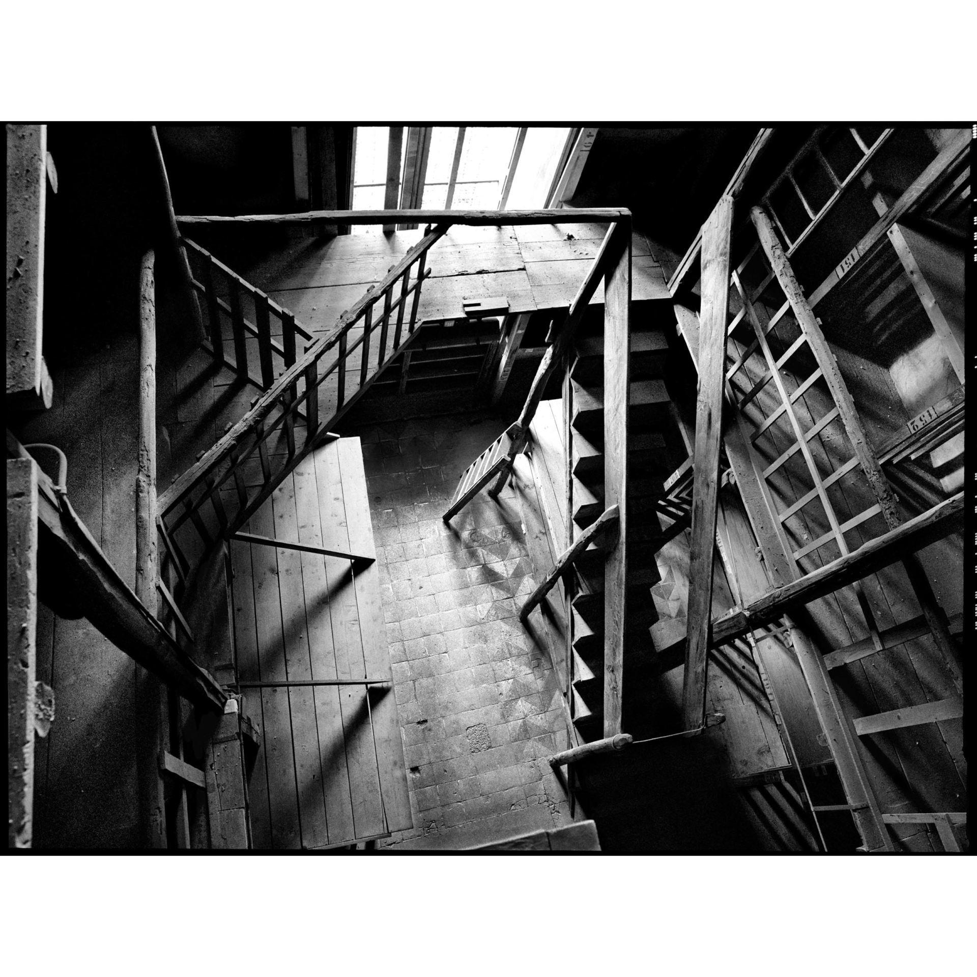 collezionemorello.it