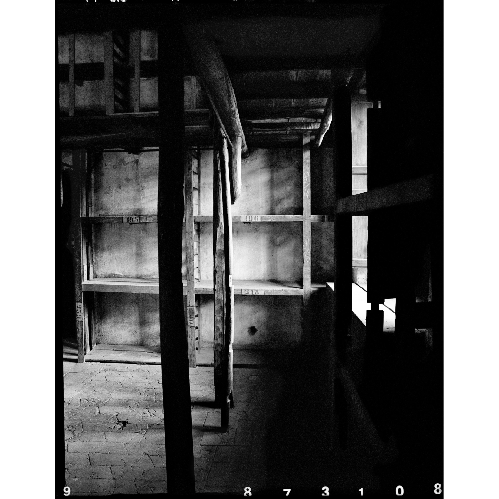 collezionemorello.it