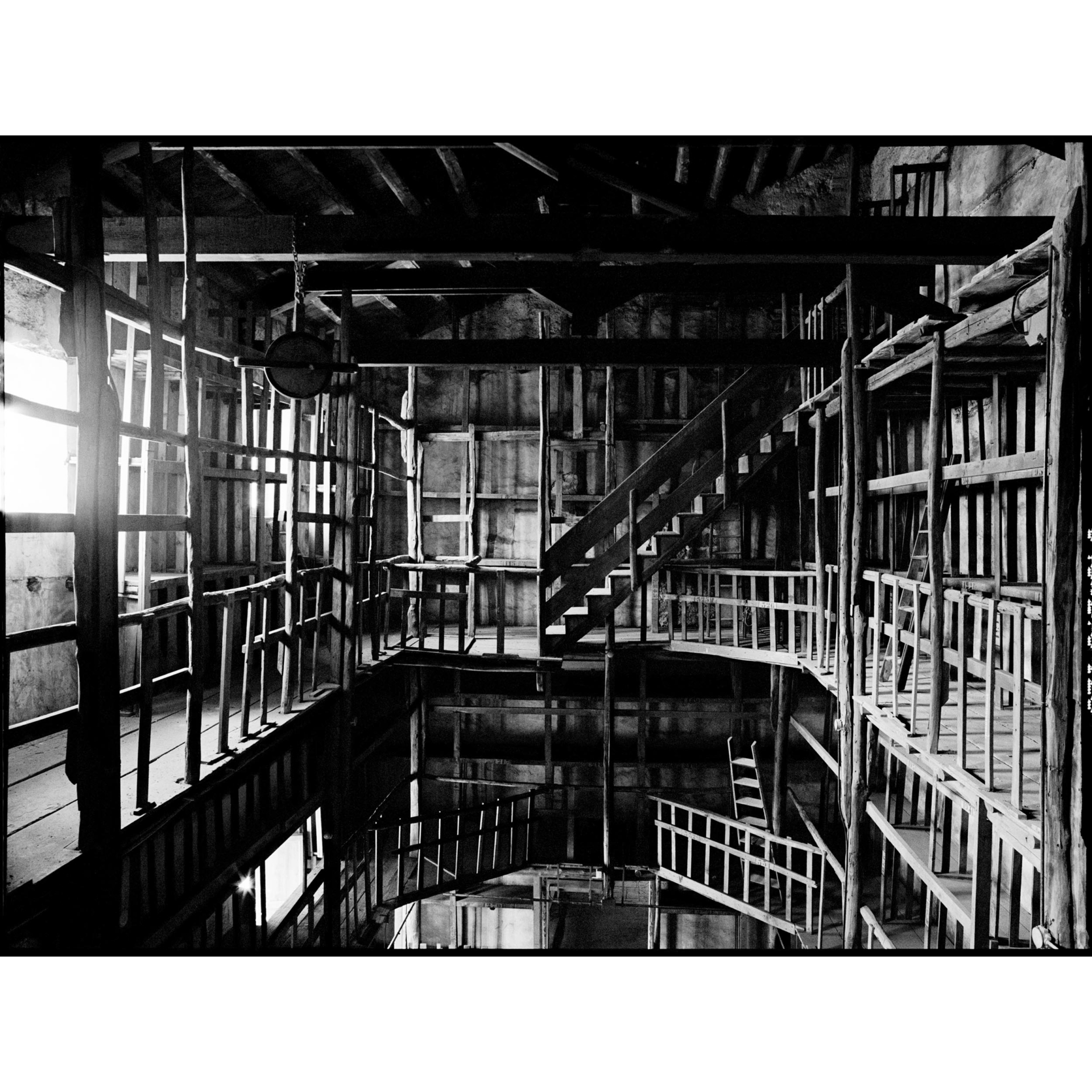 collezionemorello.it