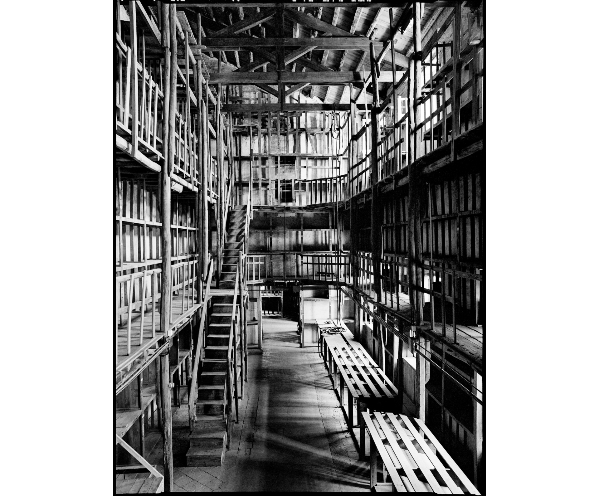 collezionemorello.it