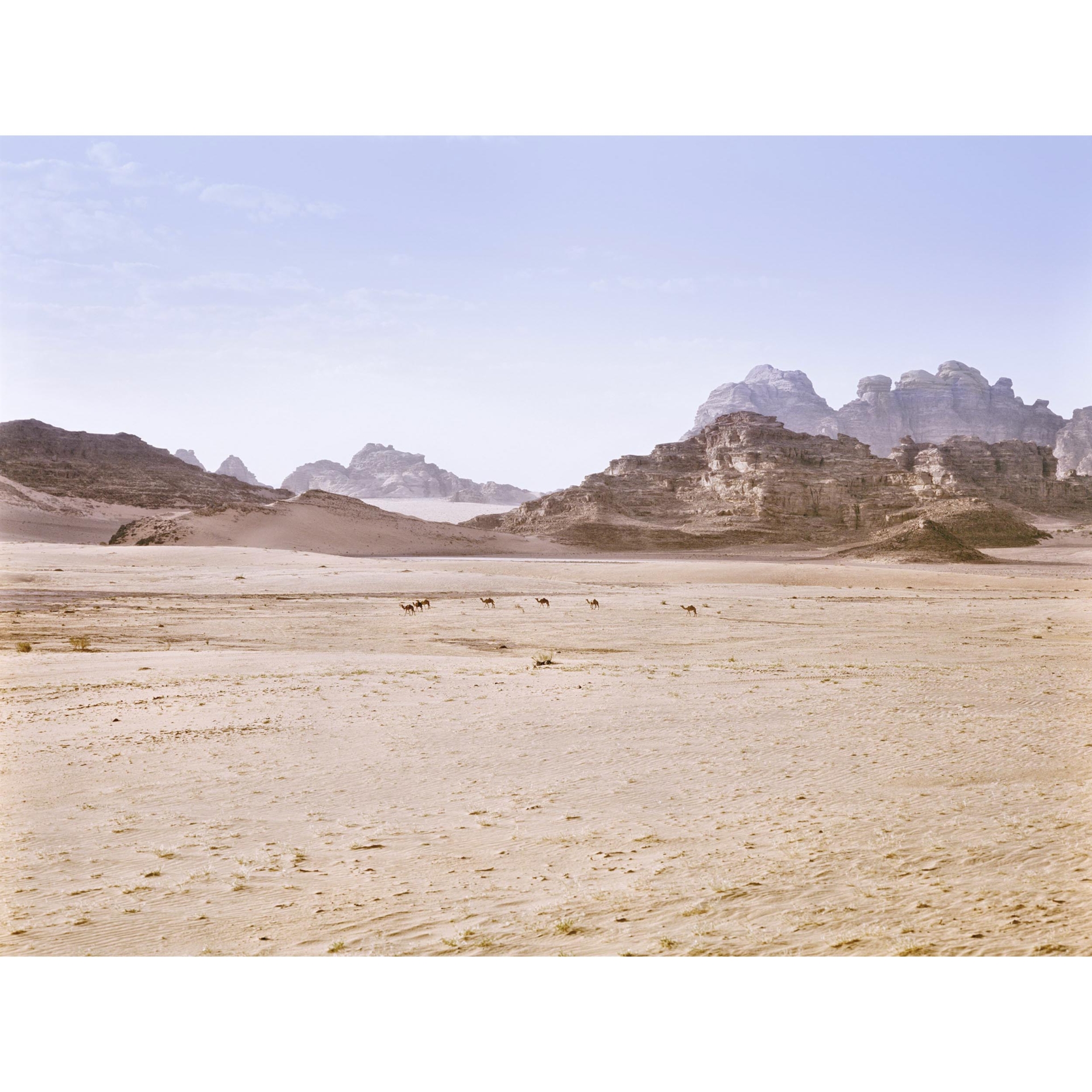 collezionemorello.it