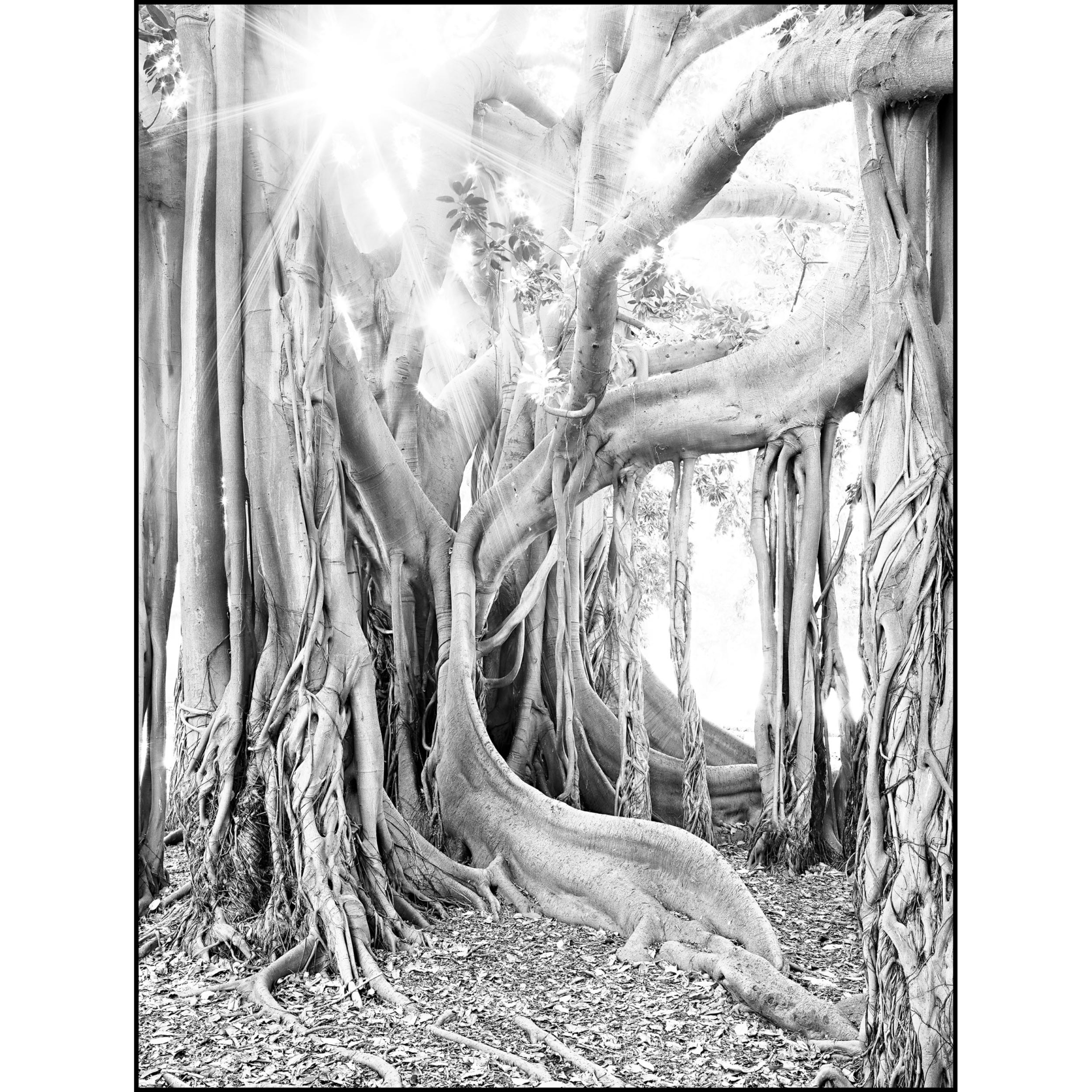 collezionemorello.it