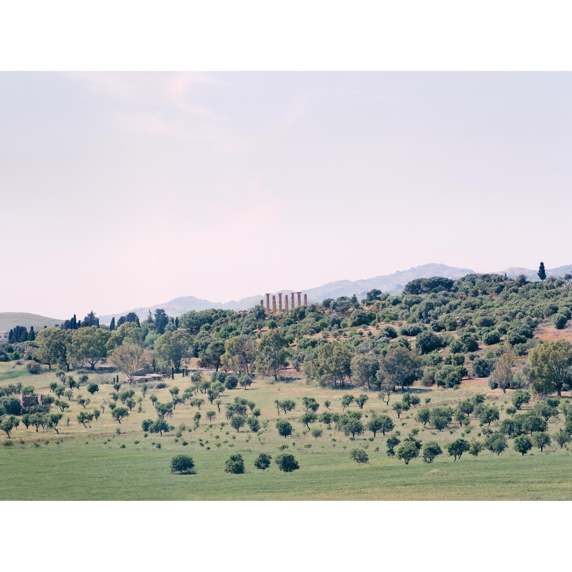 collezionemorello.it