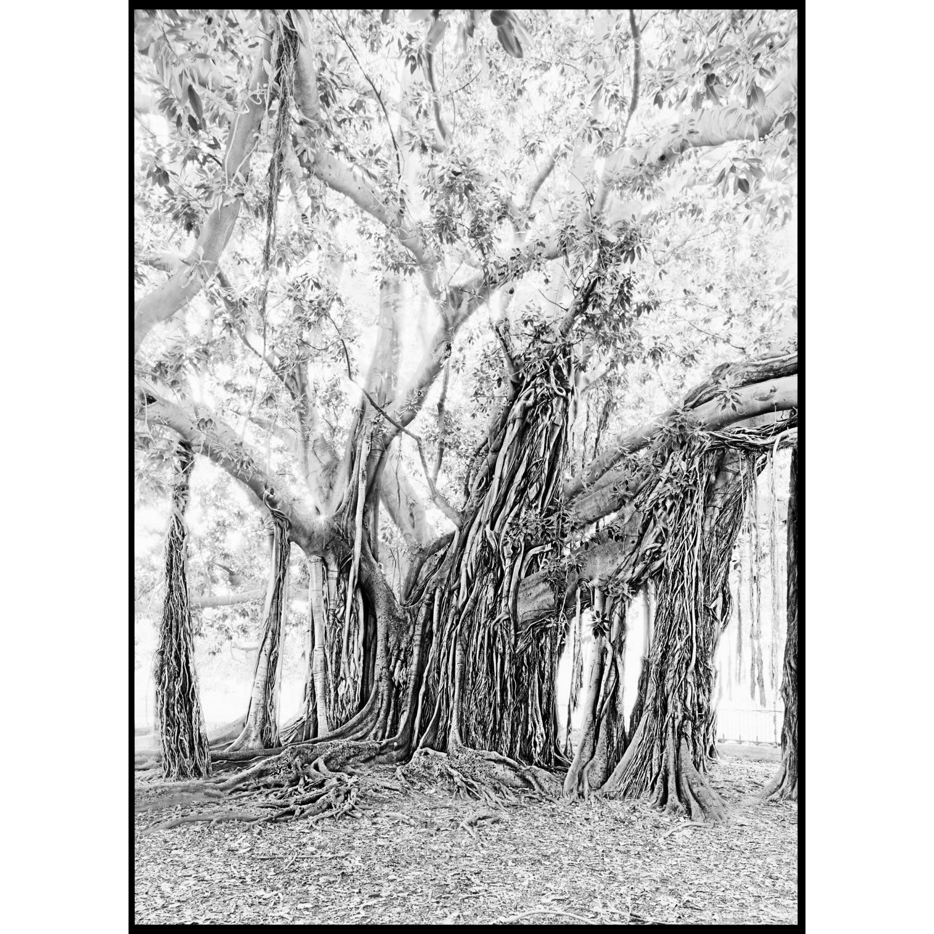 collezionemorello.it