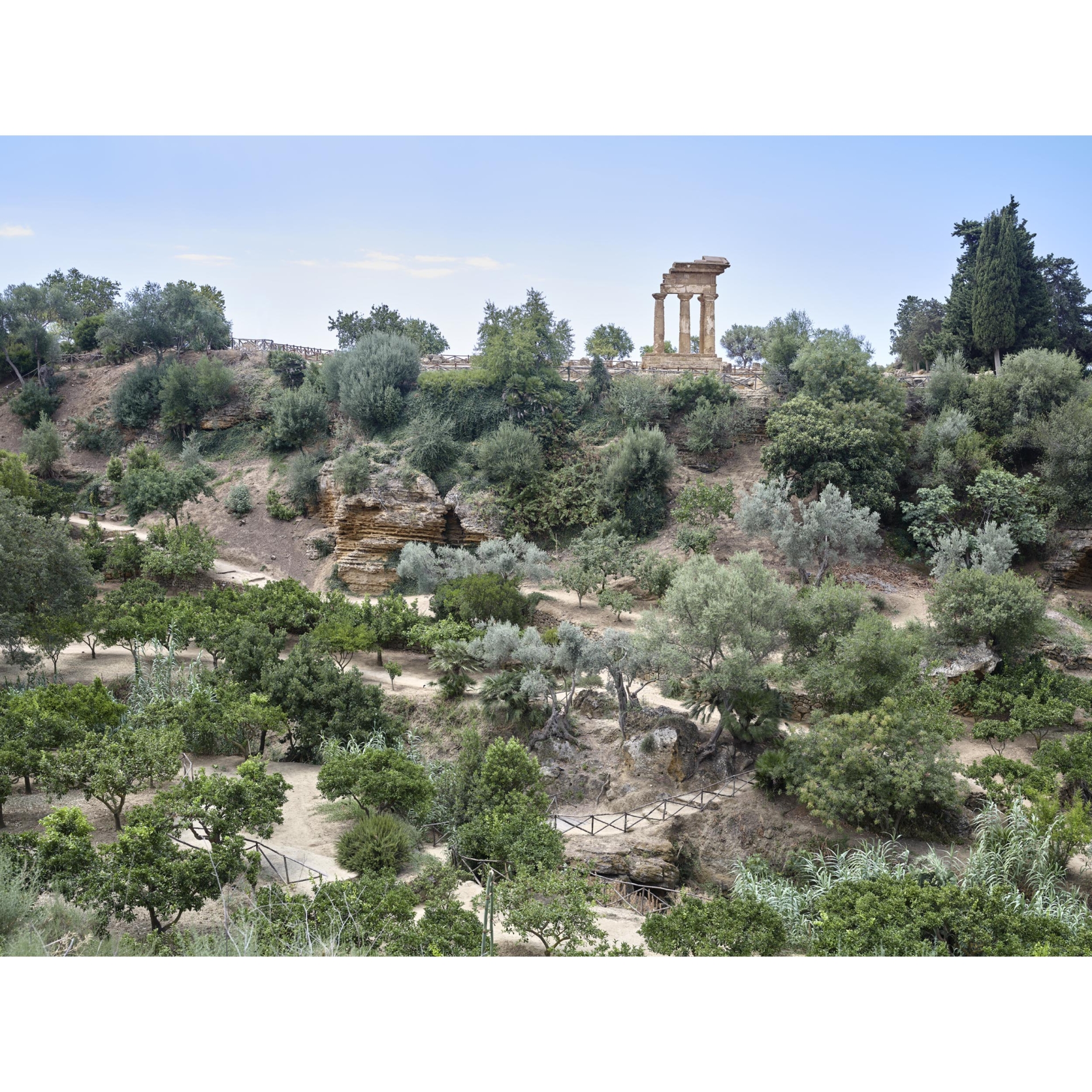 collezionemorello.it