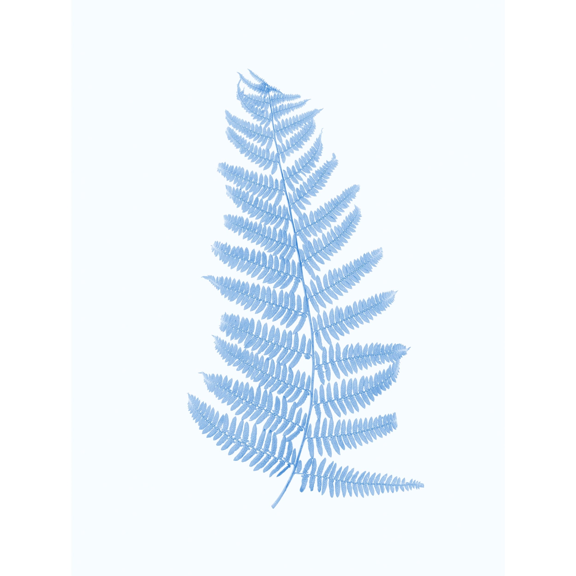 collezionemorello.it