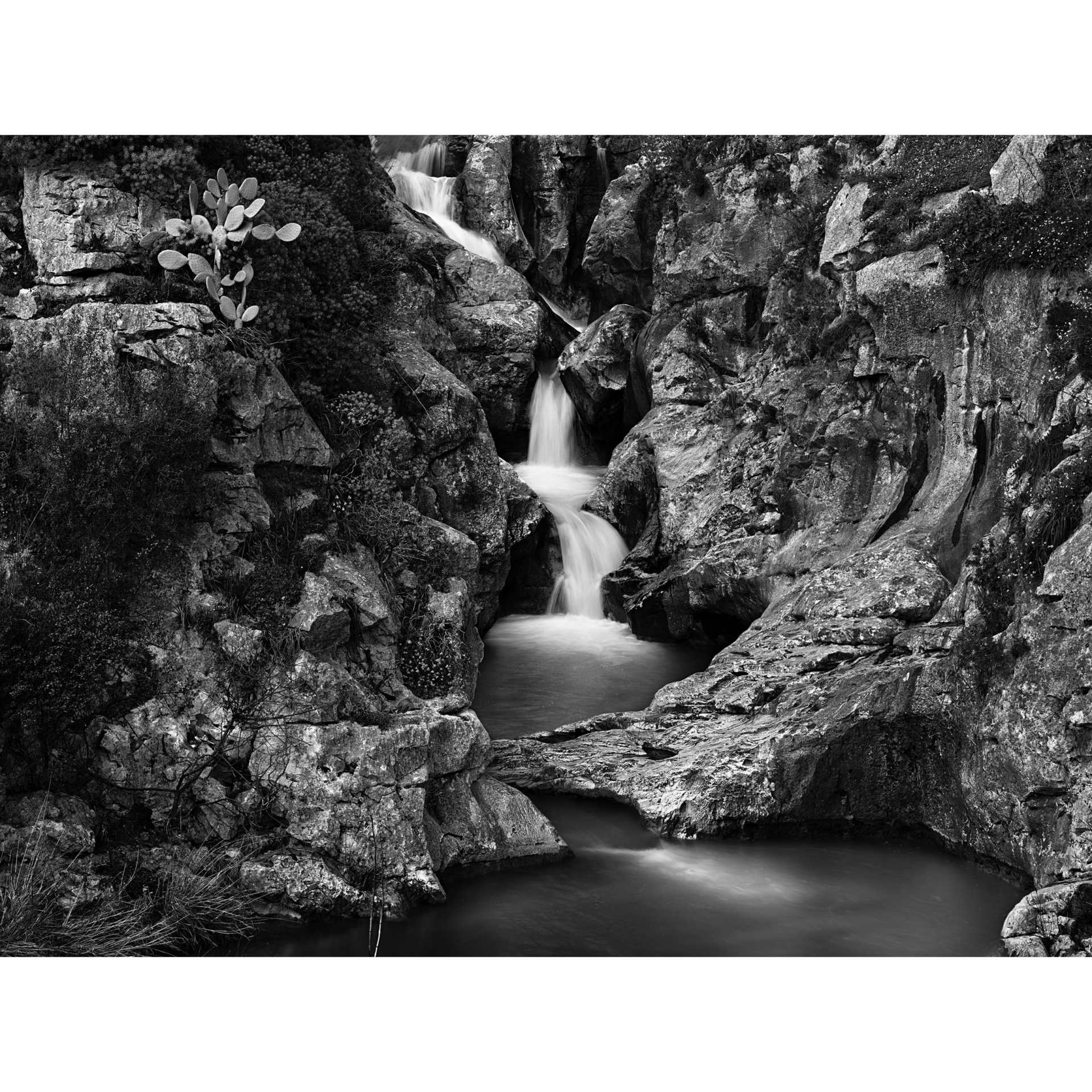 collezionemorello.it