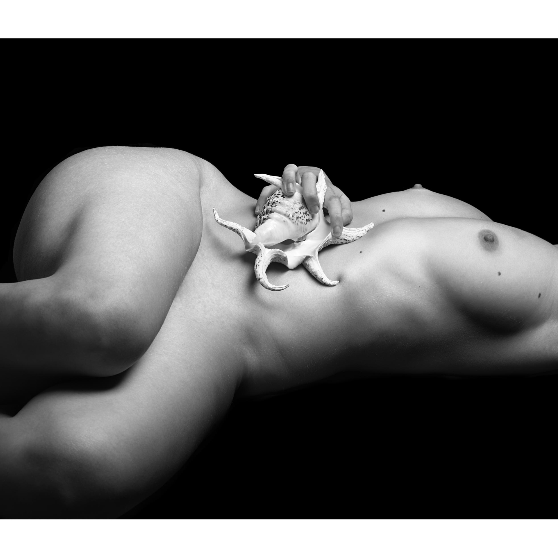 collezionemorello.it