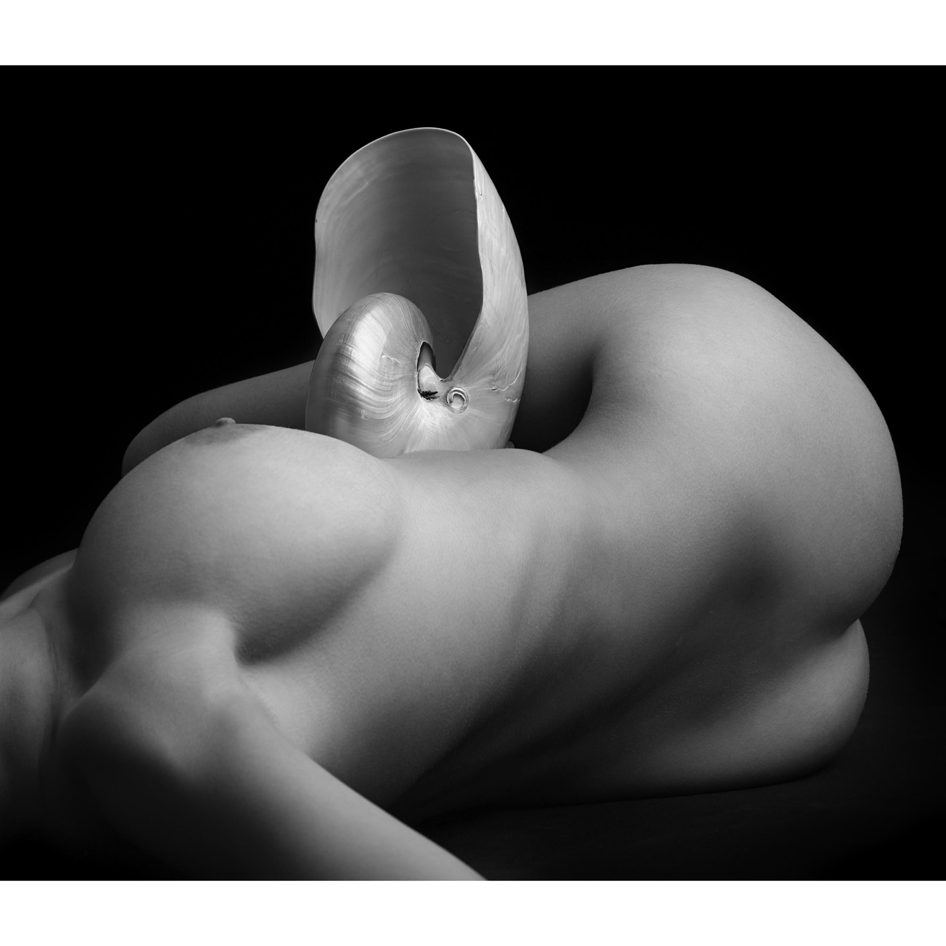 collezionemorello.it