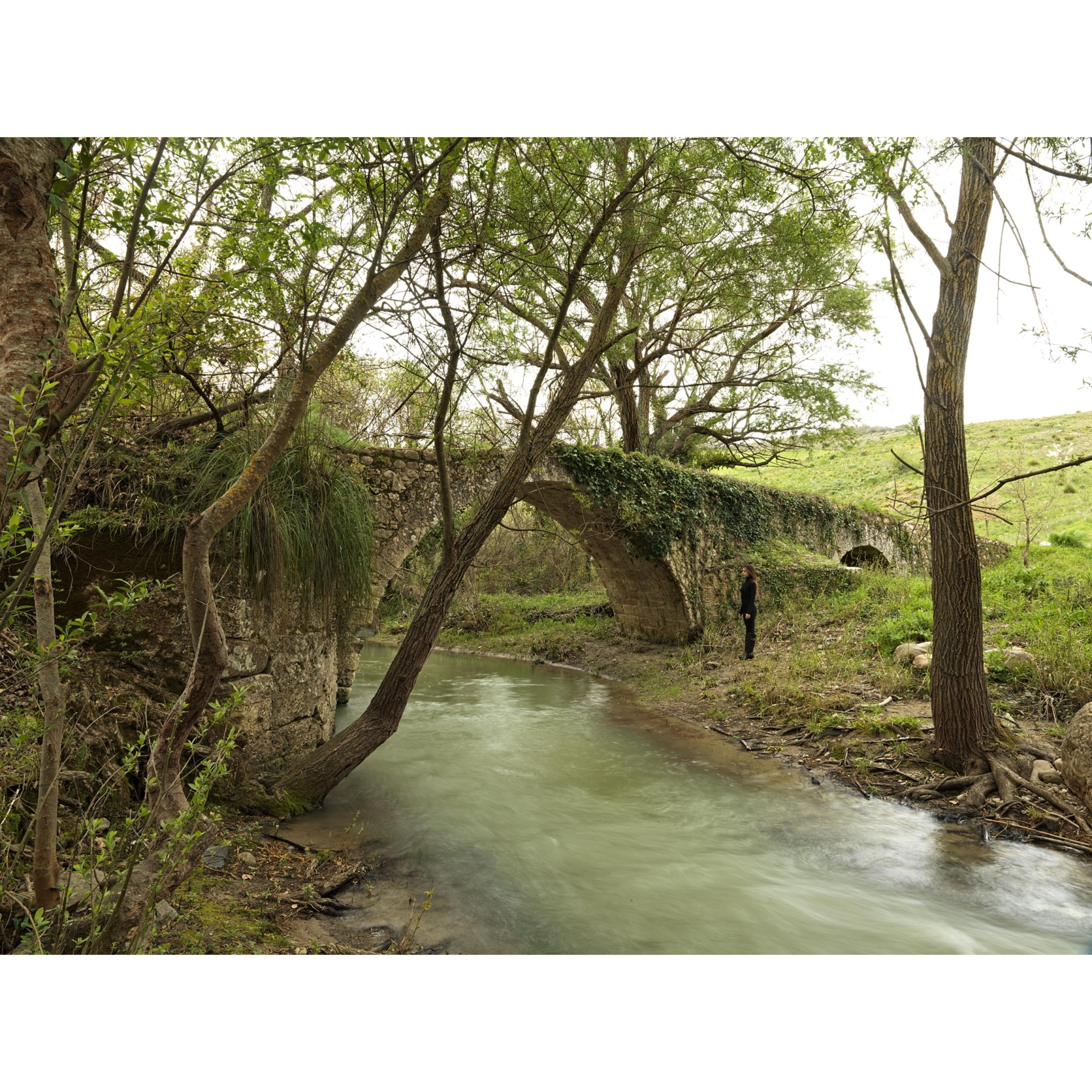 collezionemorello.it