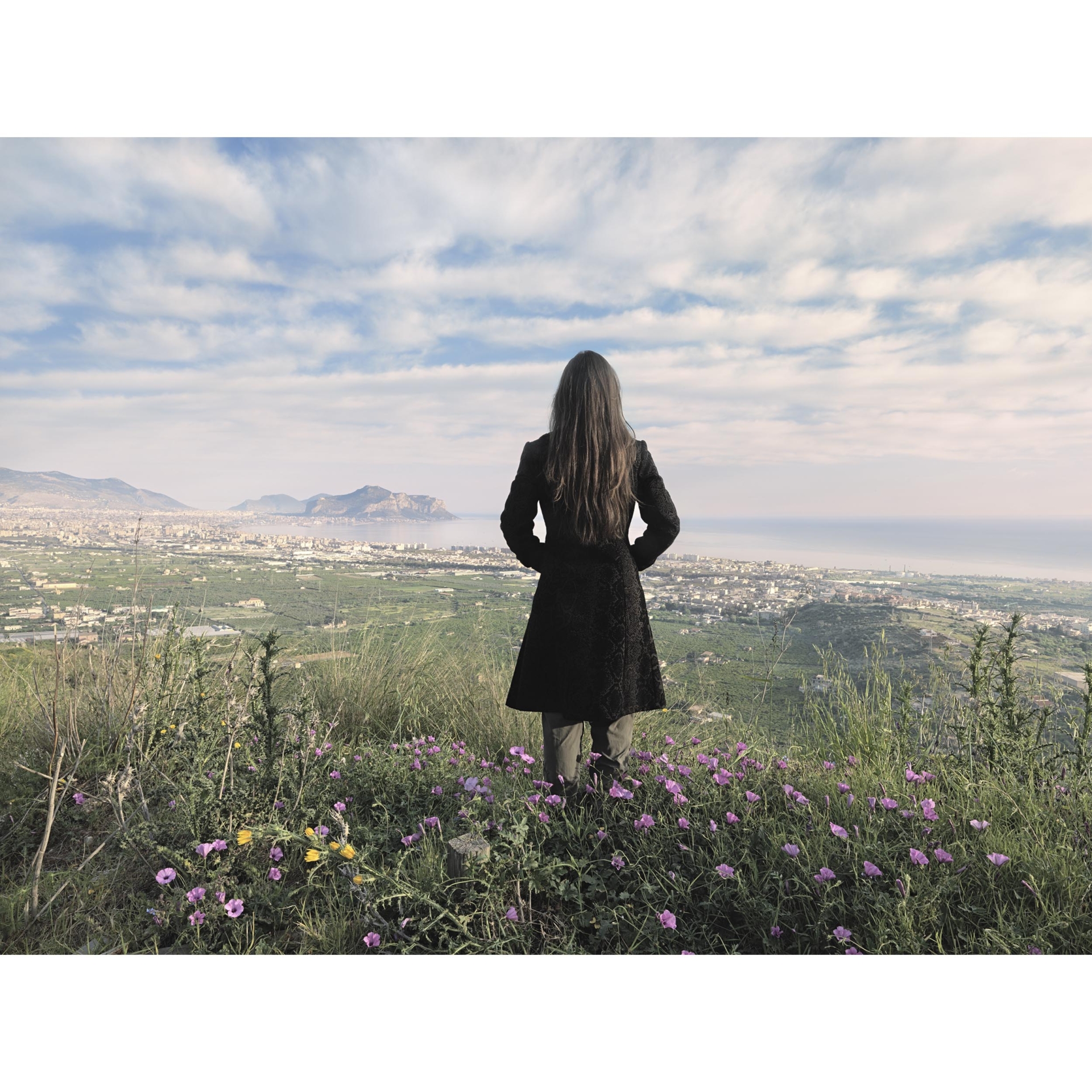 collezionemorello.it