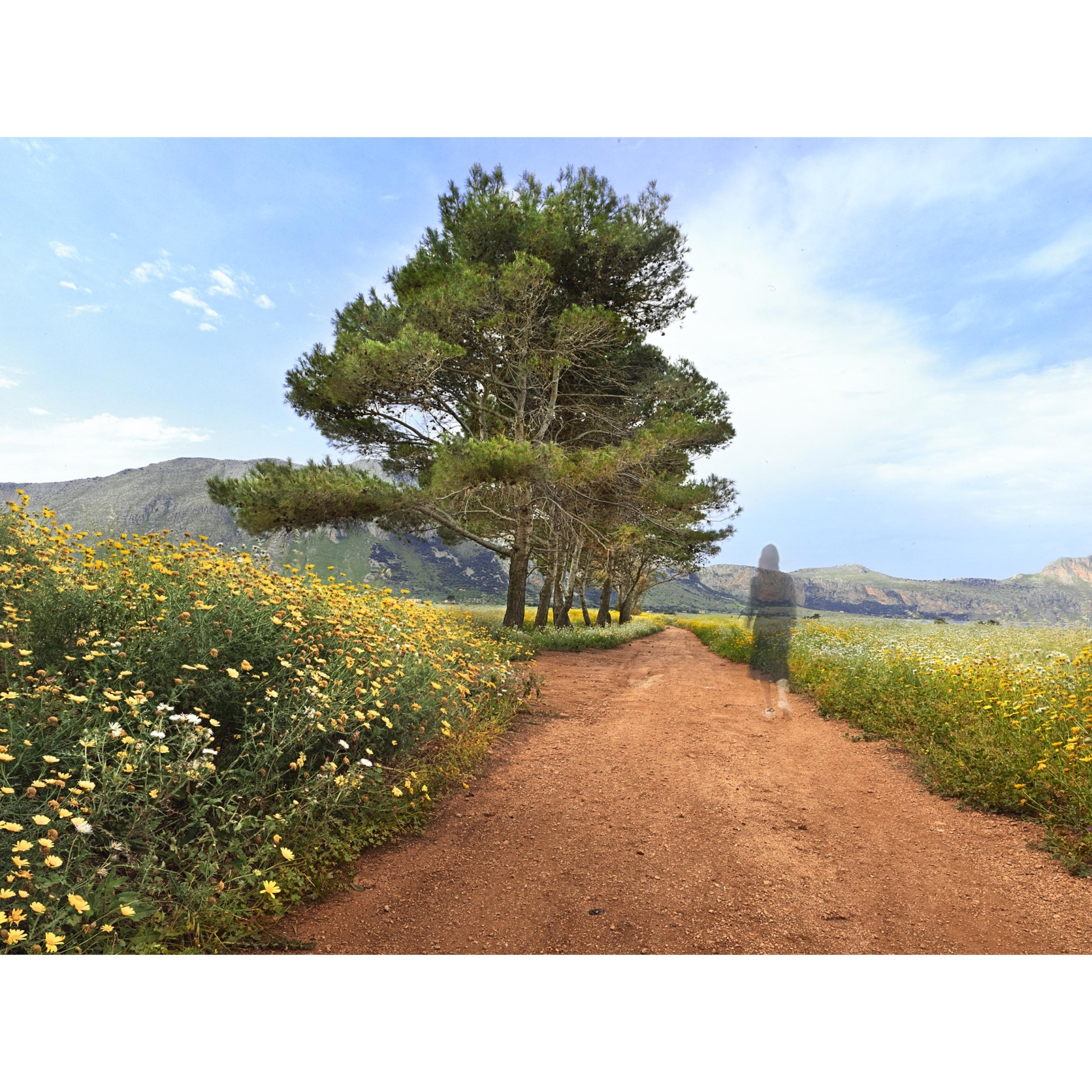 collezionemorello.it