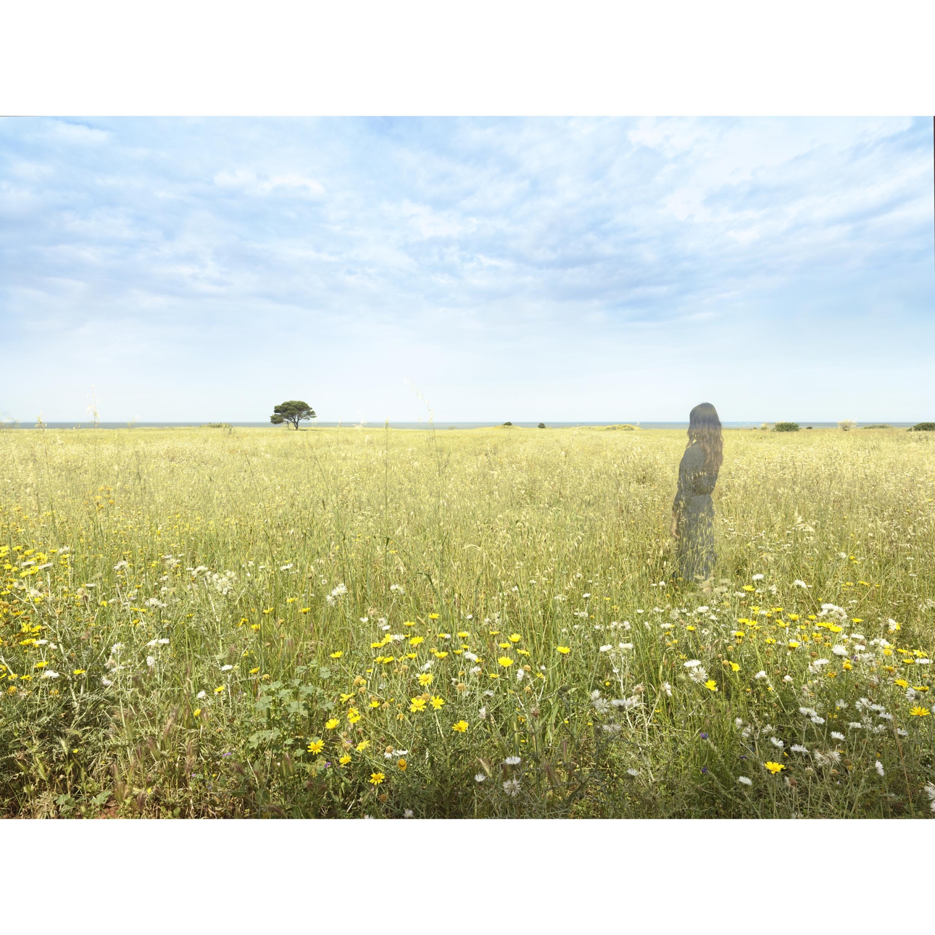 collezionemorello.it