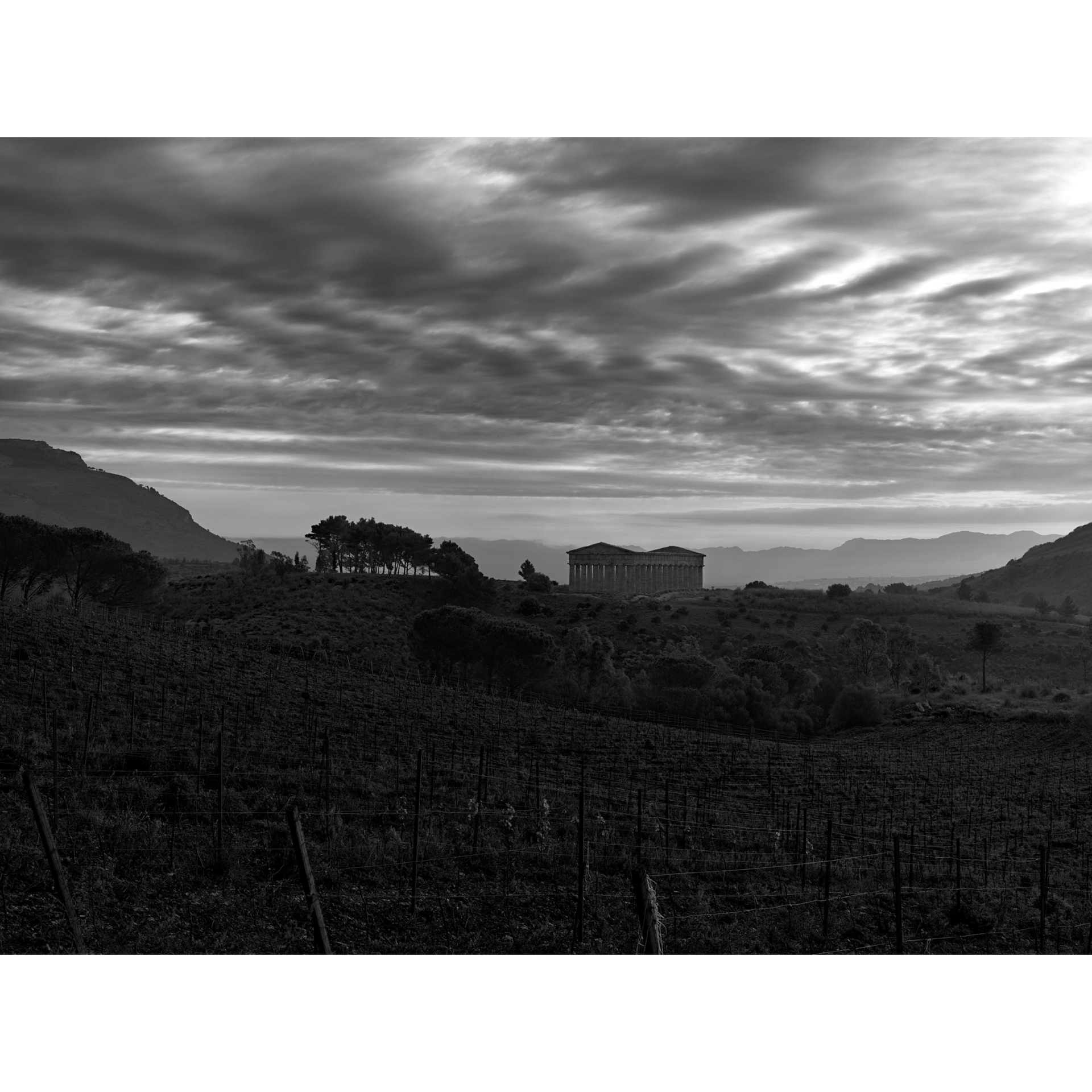 collezionemorello.it