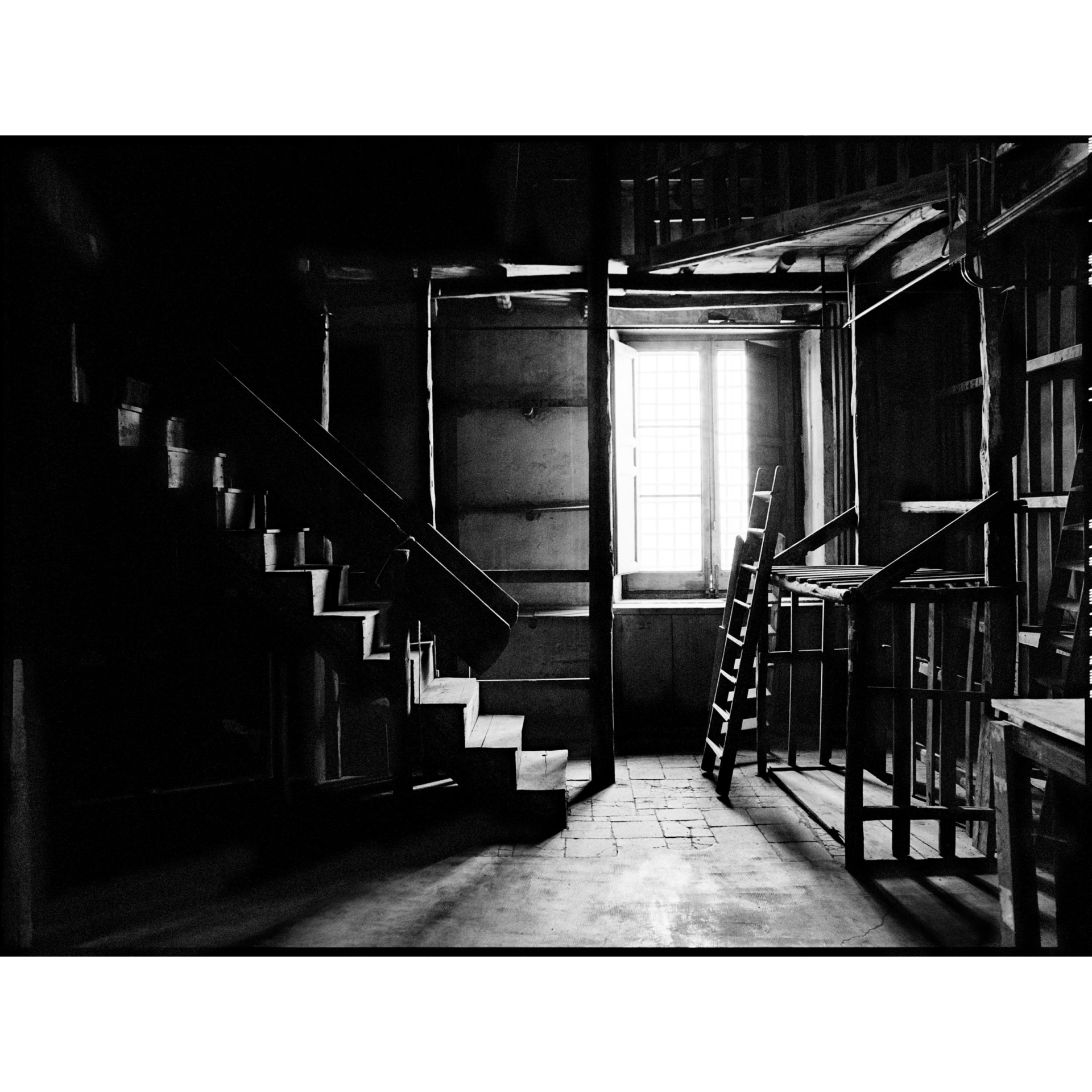 collezionemorello.it