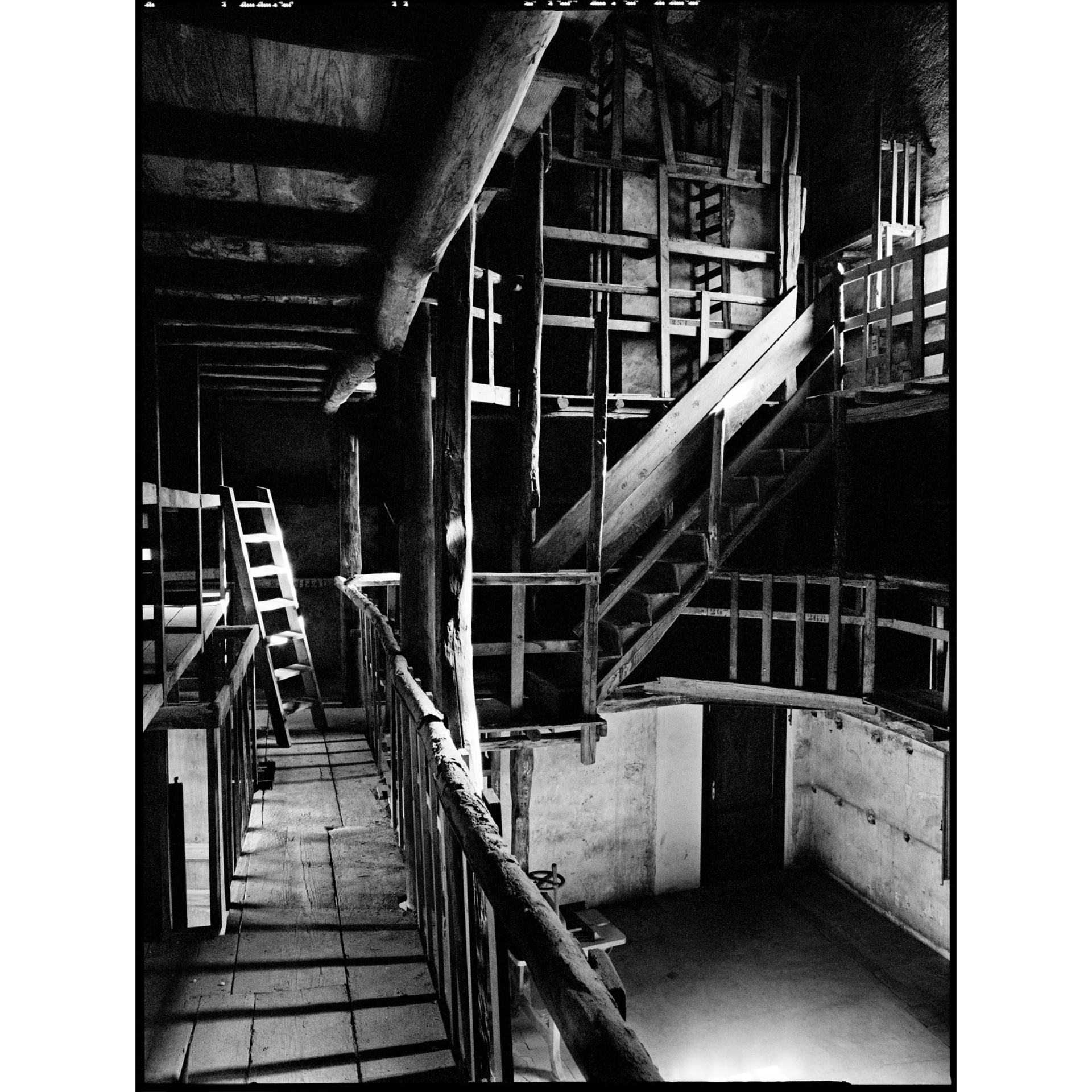 collezionemorello.it