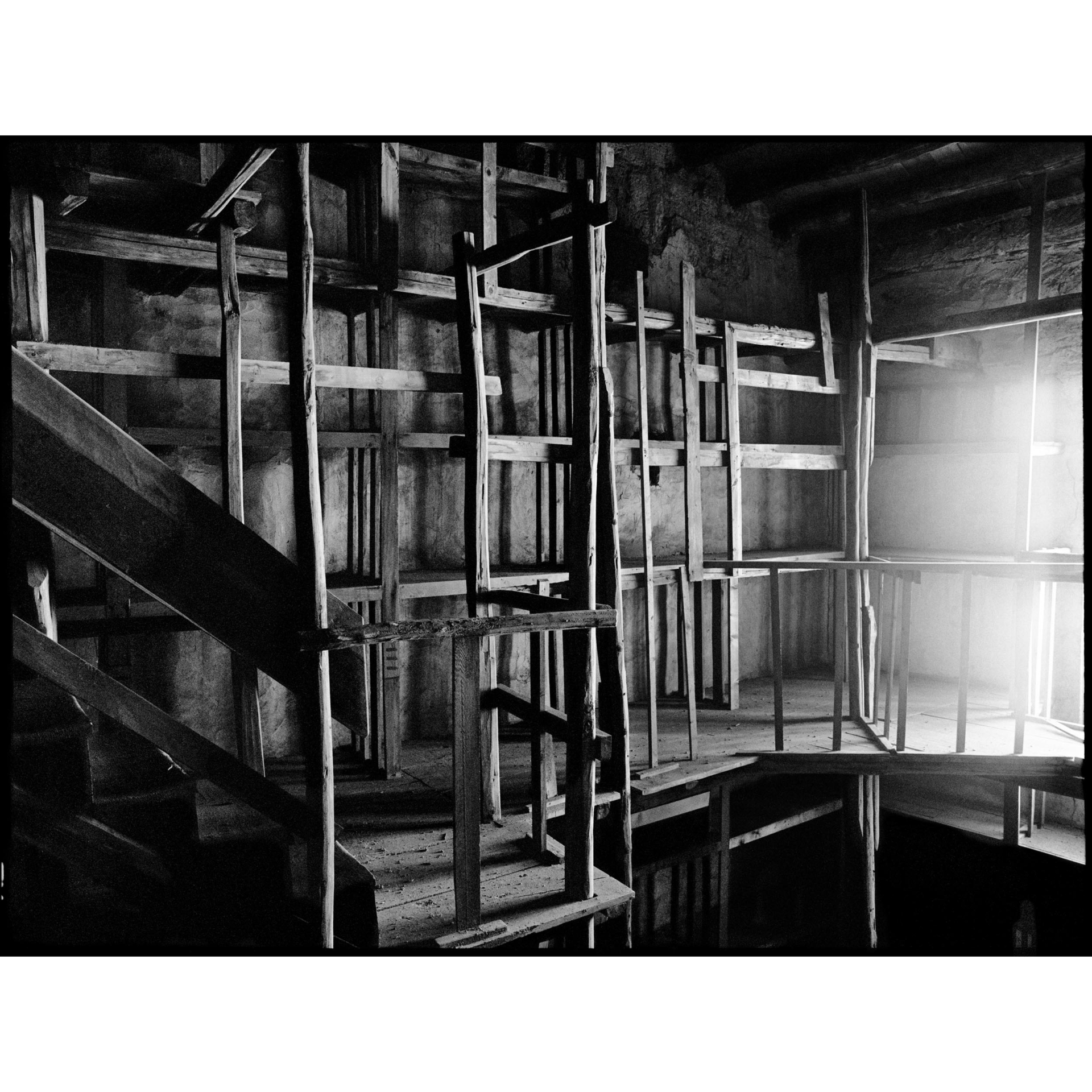 collezionemorello.it