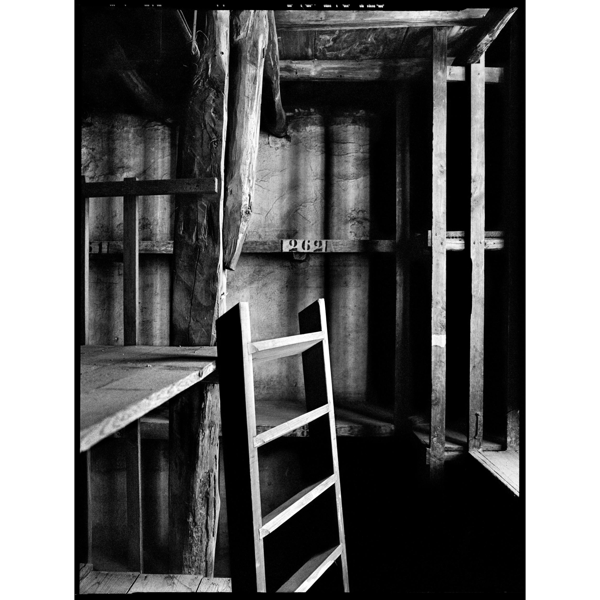 collezionemorello.it