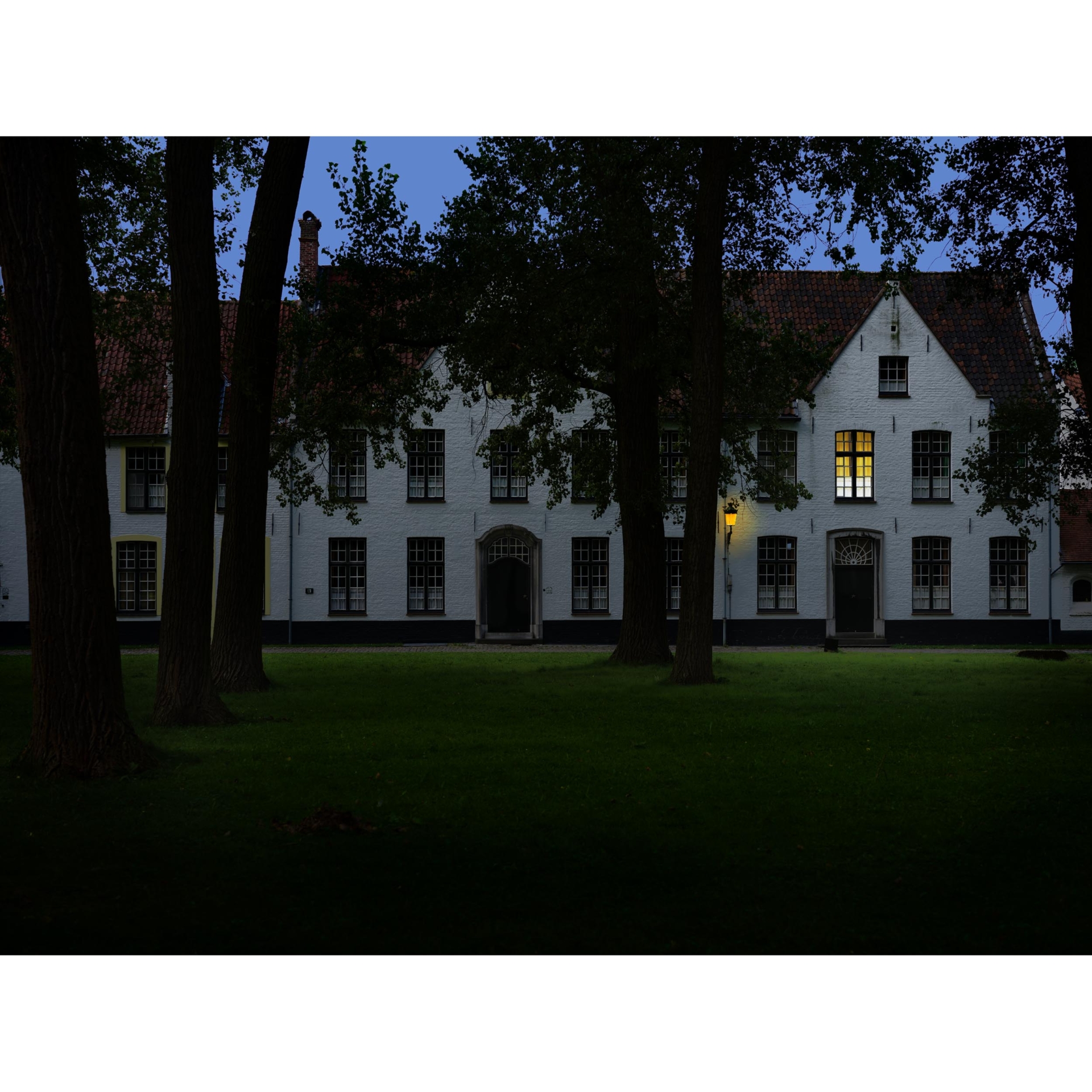 collezionemorello.it