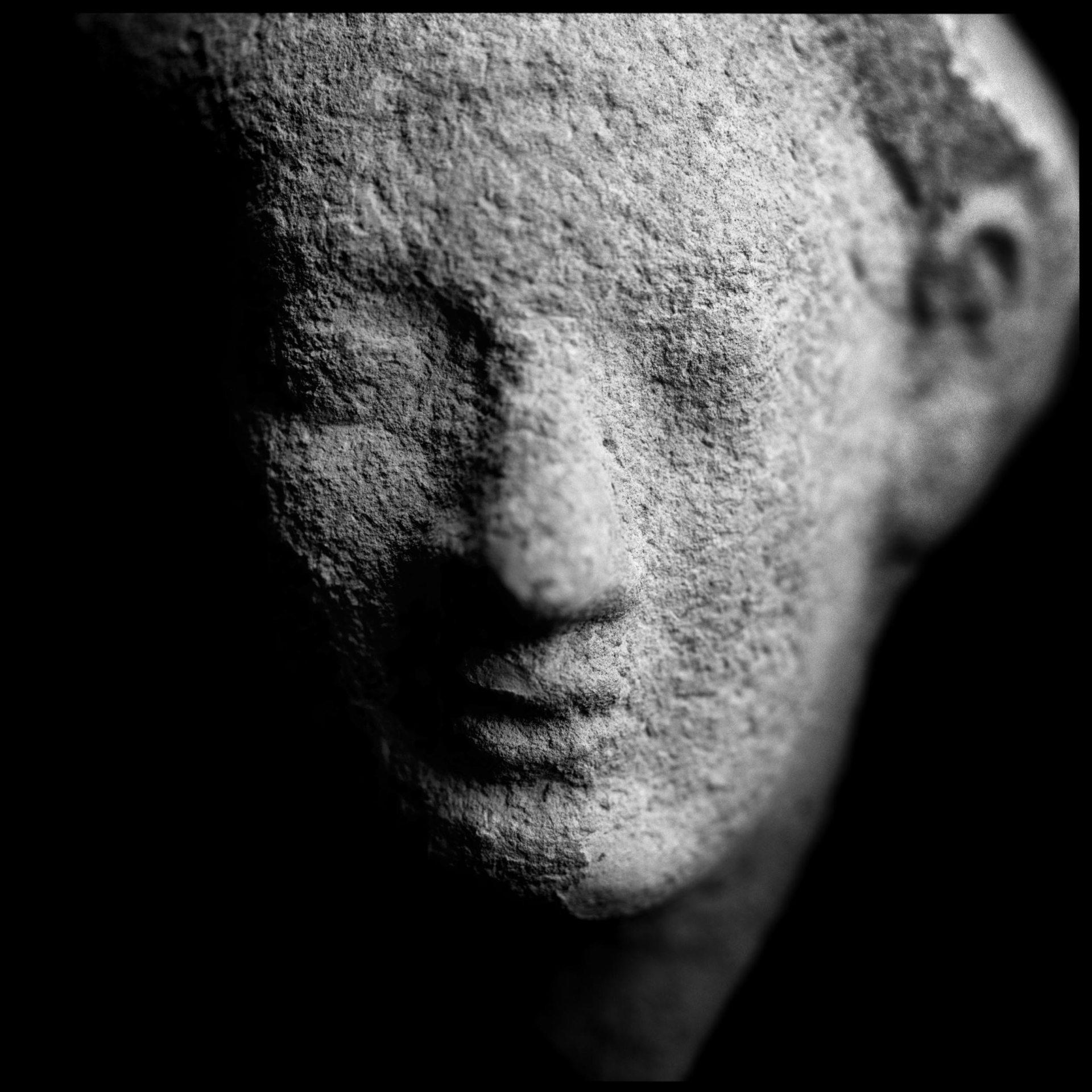 collezionemorello.it