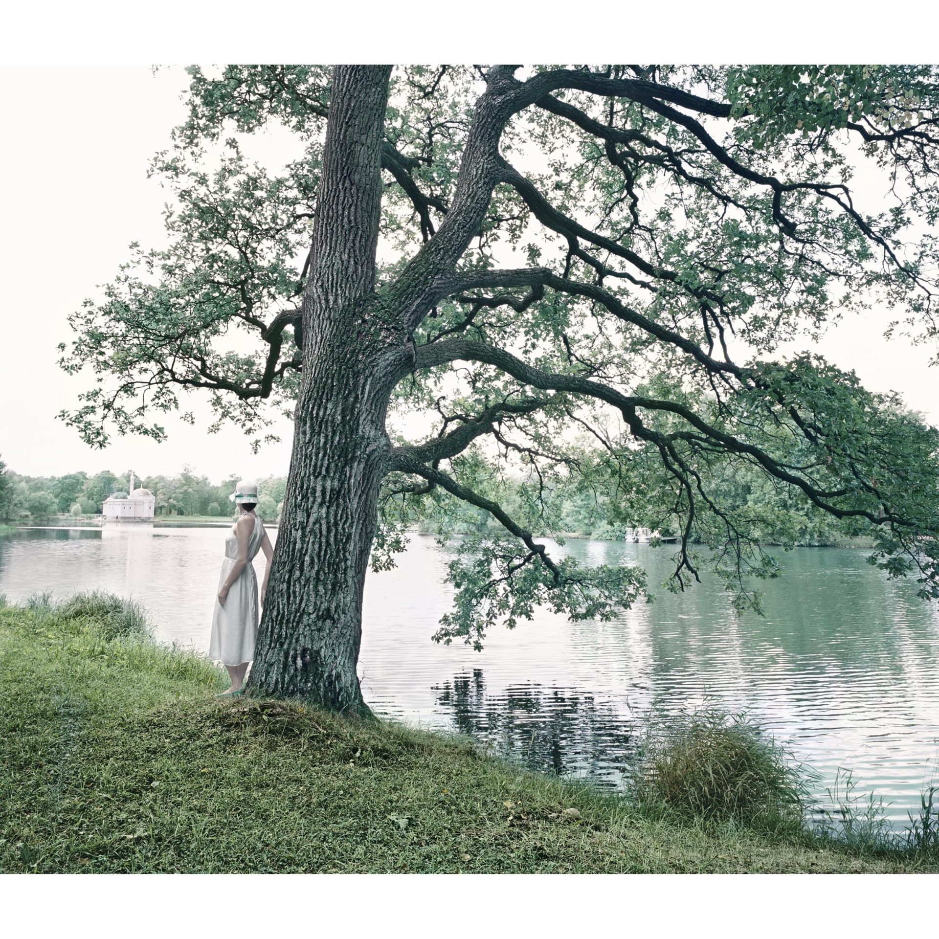 collezionemorello.it