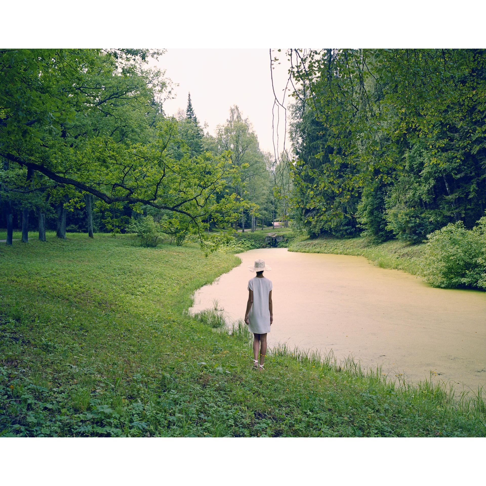 collezionemorello.it