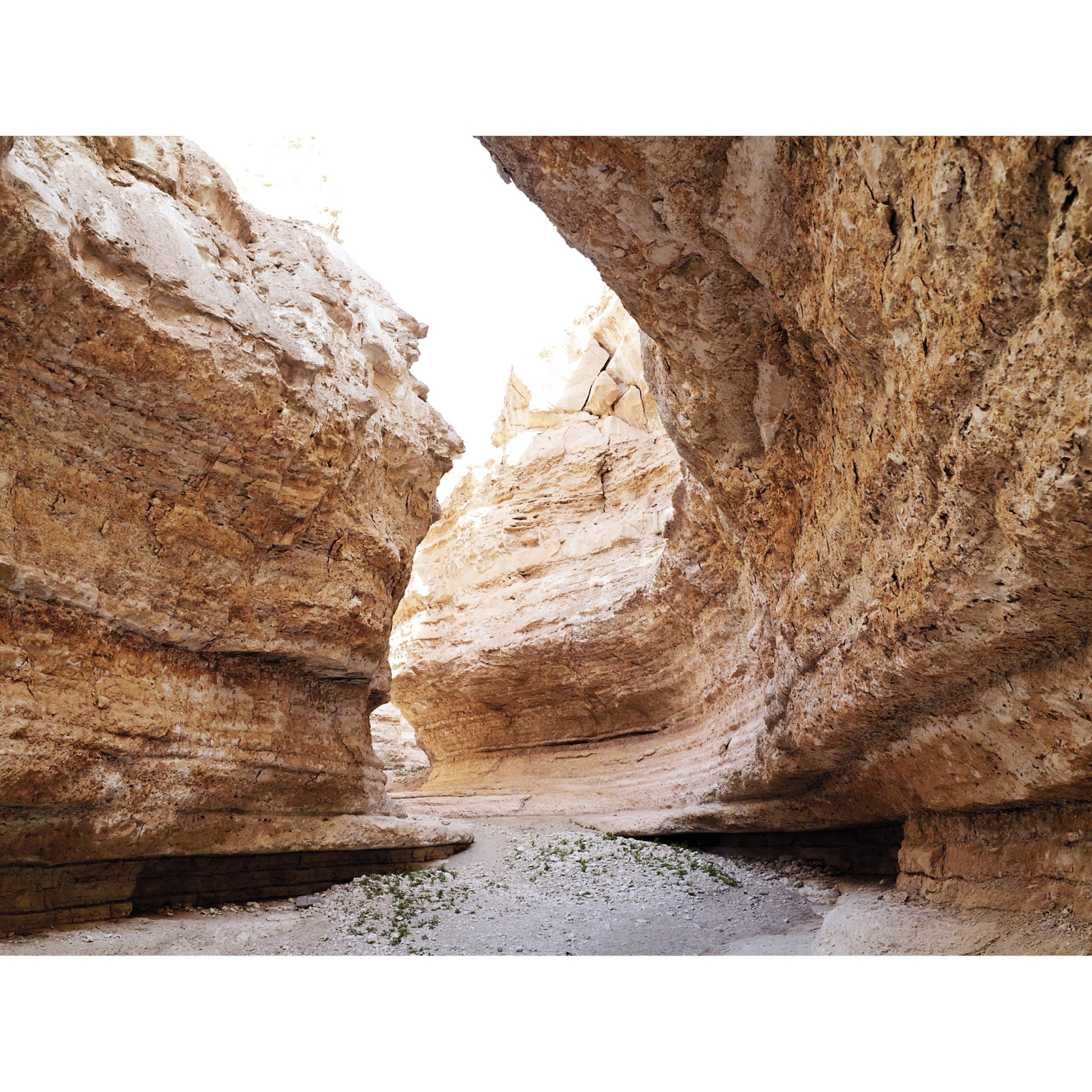 collezionemorello.it