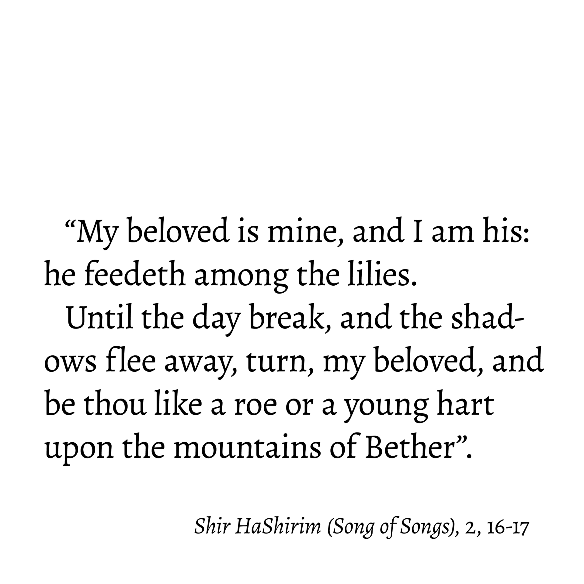 collezionemorello.it