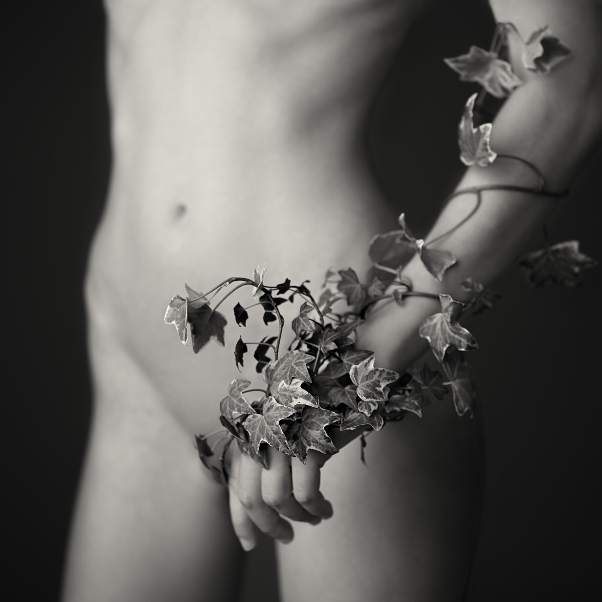 collezionemorello.it